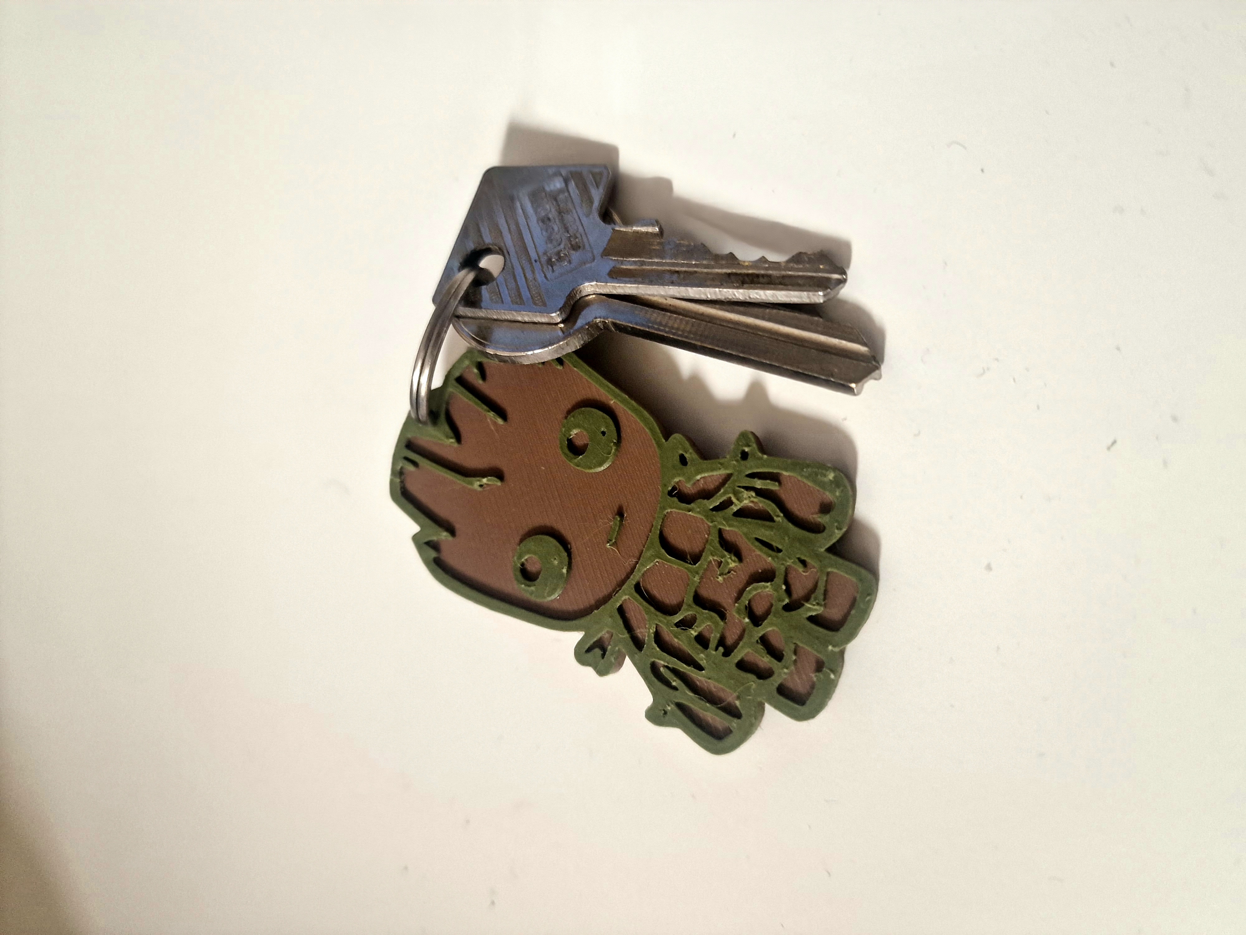 Groot key