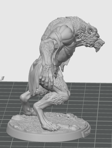 Werewolf Brawler — miniatura 2