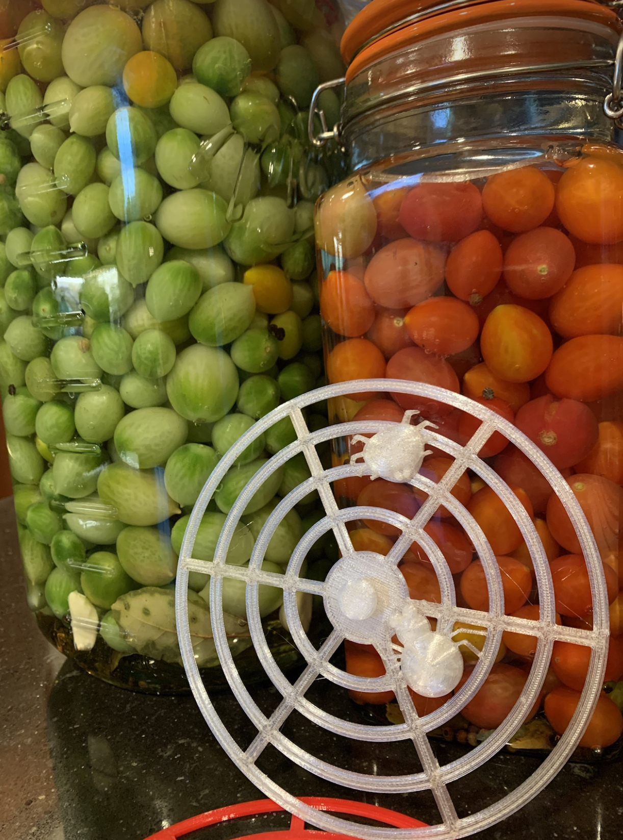 Fermentation Lid - Halloween Edition