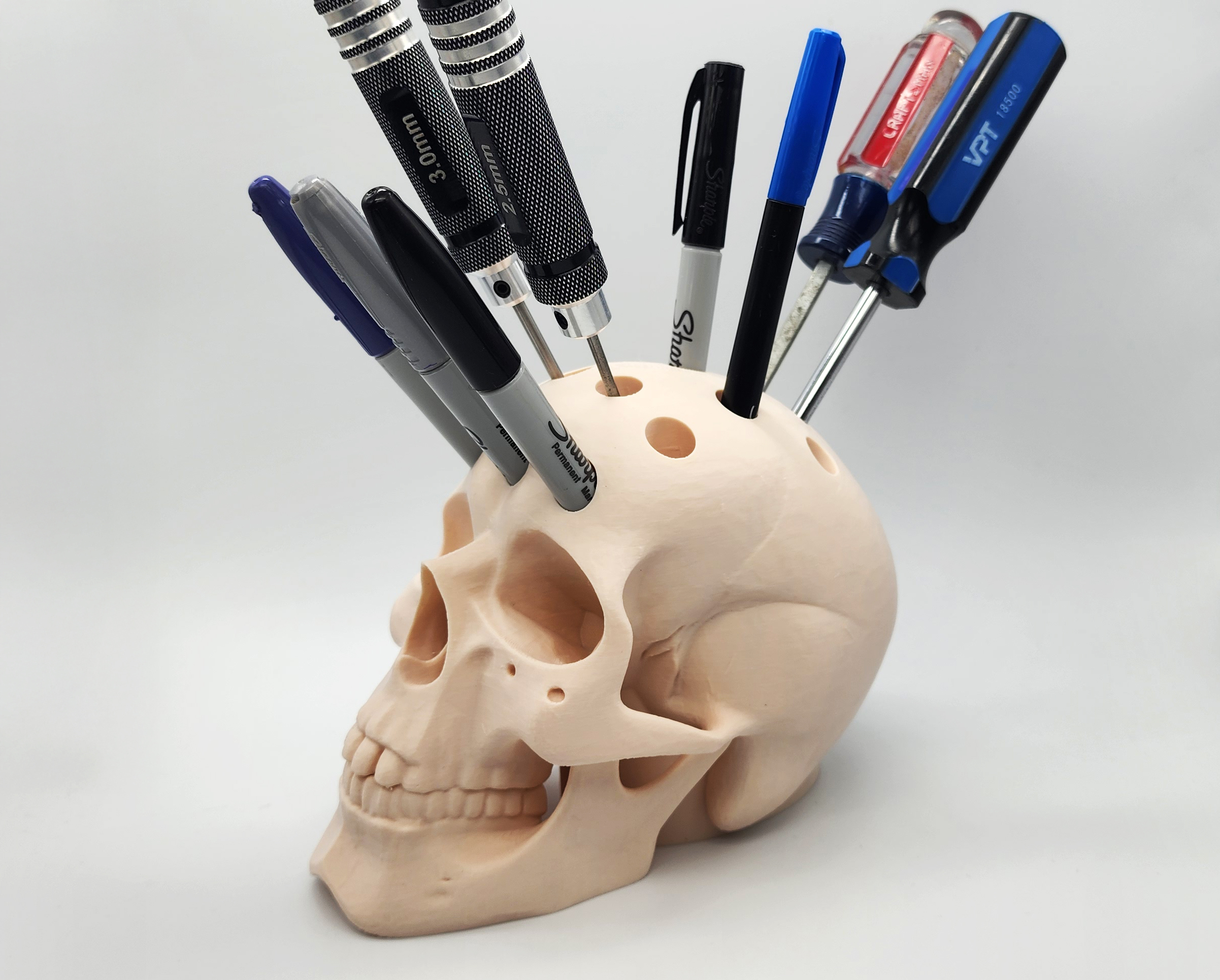 Human Skull Pen Holder