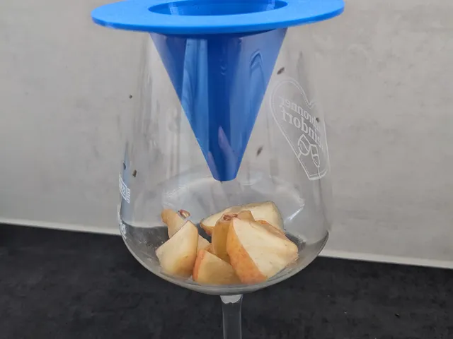 Fruchtfliegen Falle / Fruit fly trap