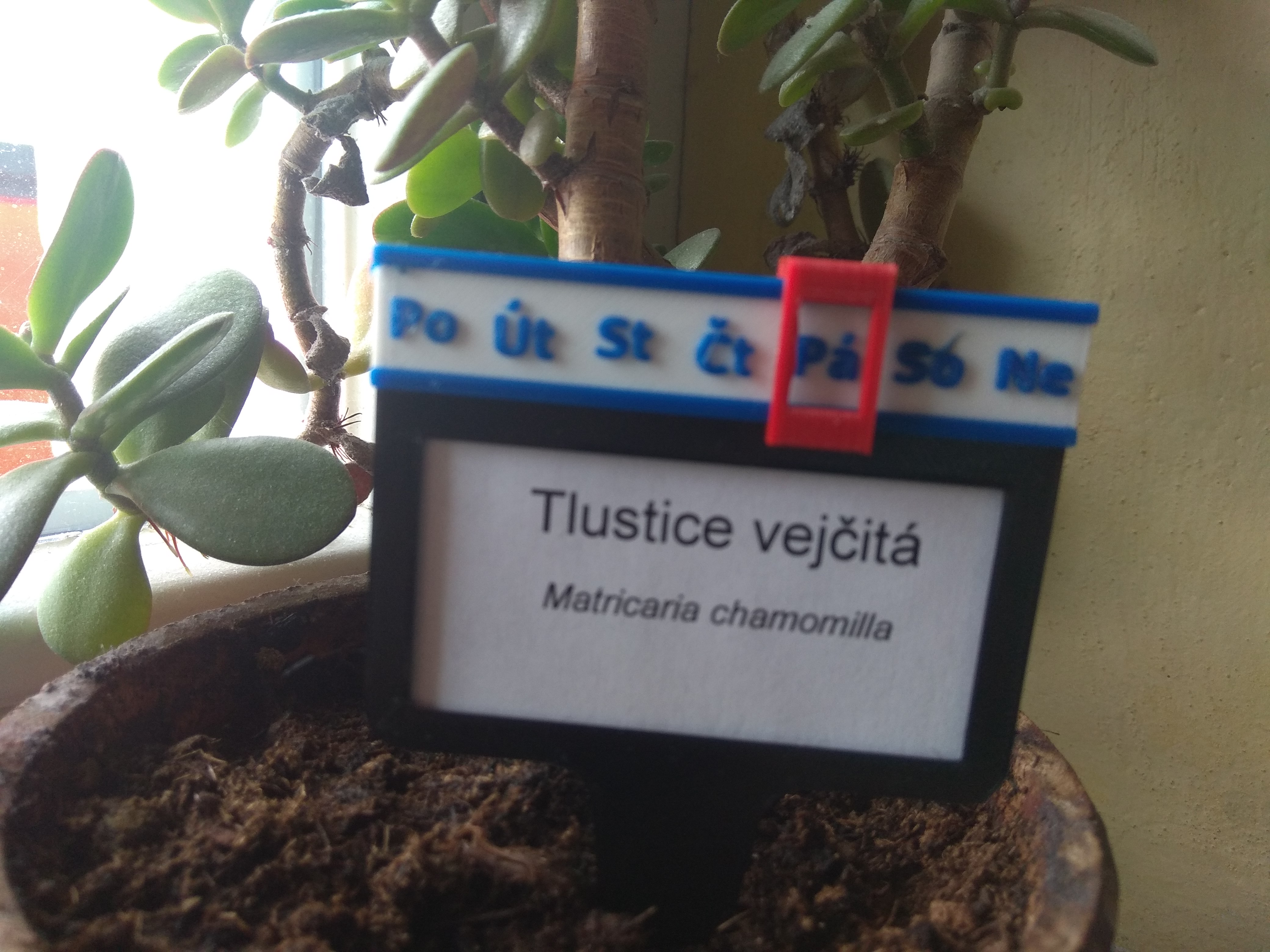 cedulka s ukazatelem posledního zalití