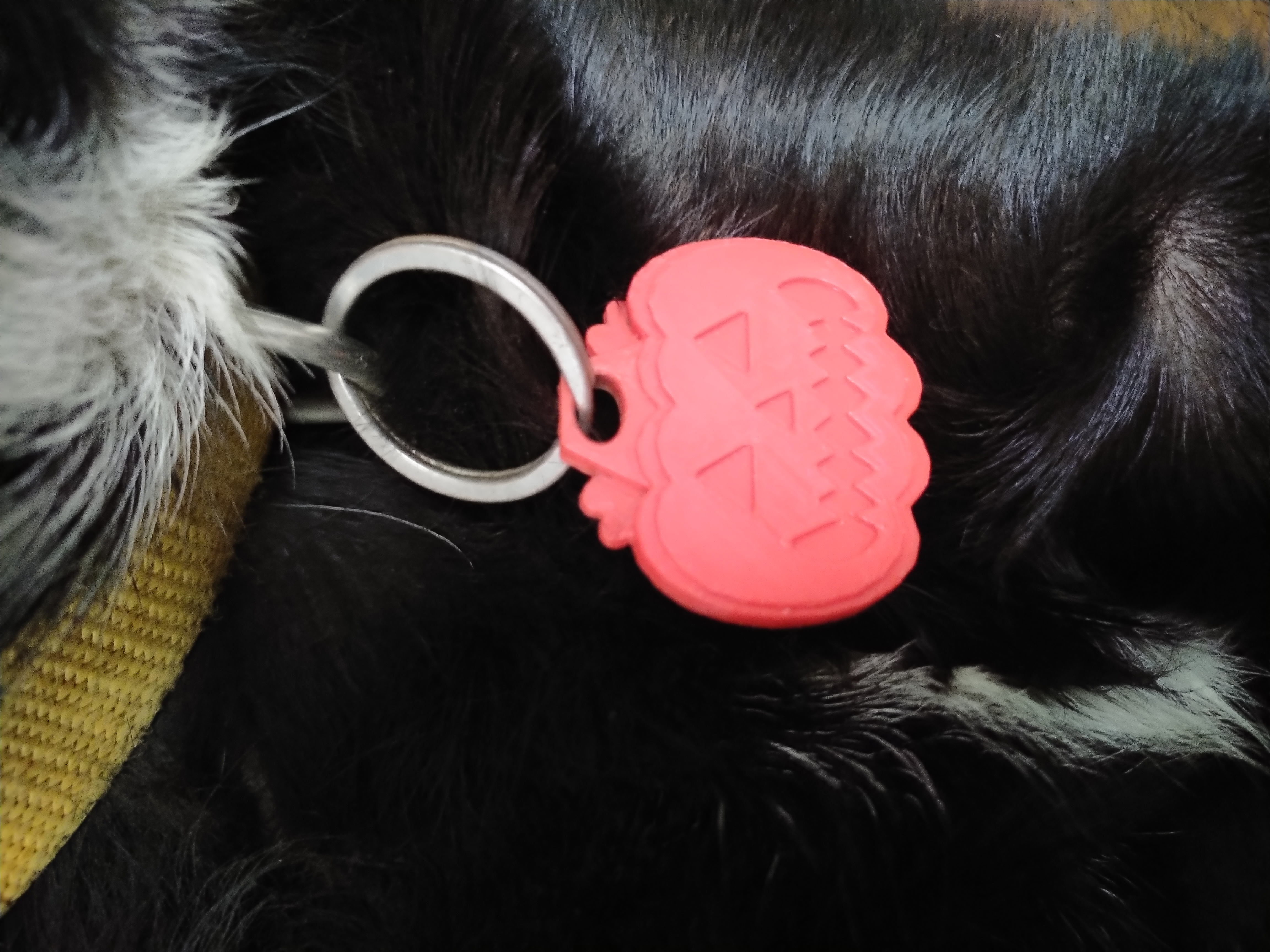 Pumpkin Shaped Dog Tag/Keychain