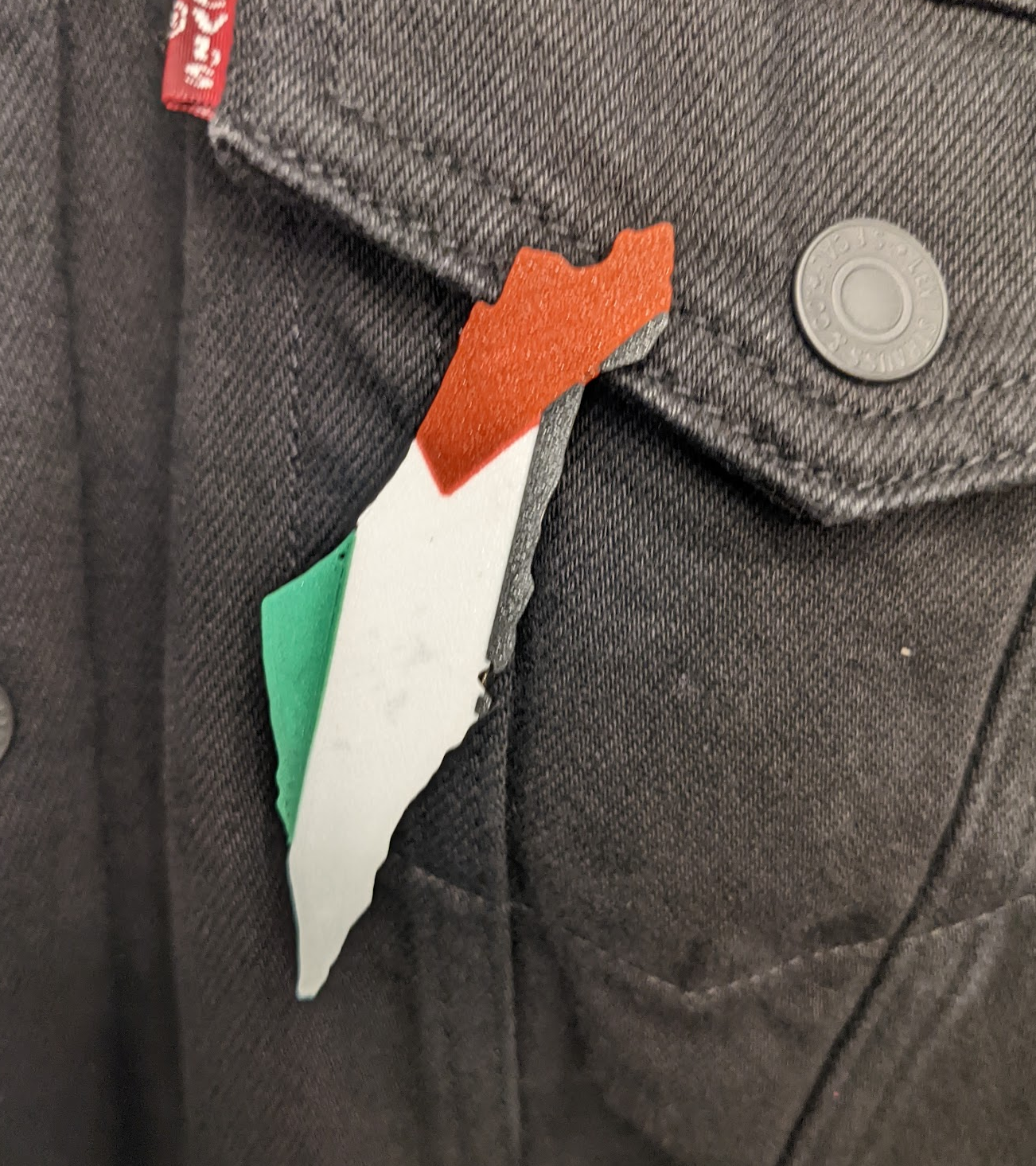 Palestine Pin (MMU)