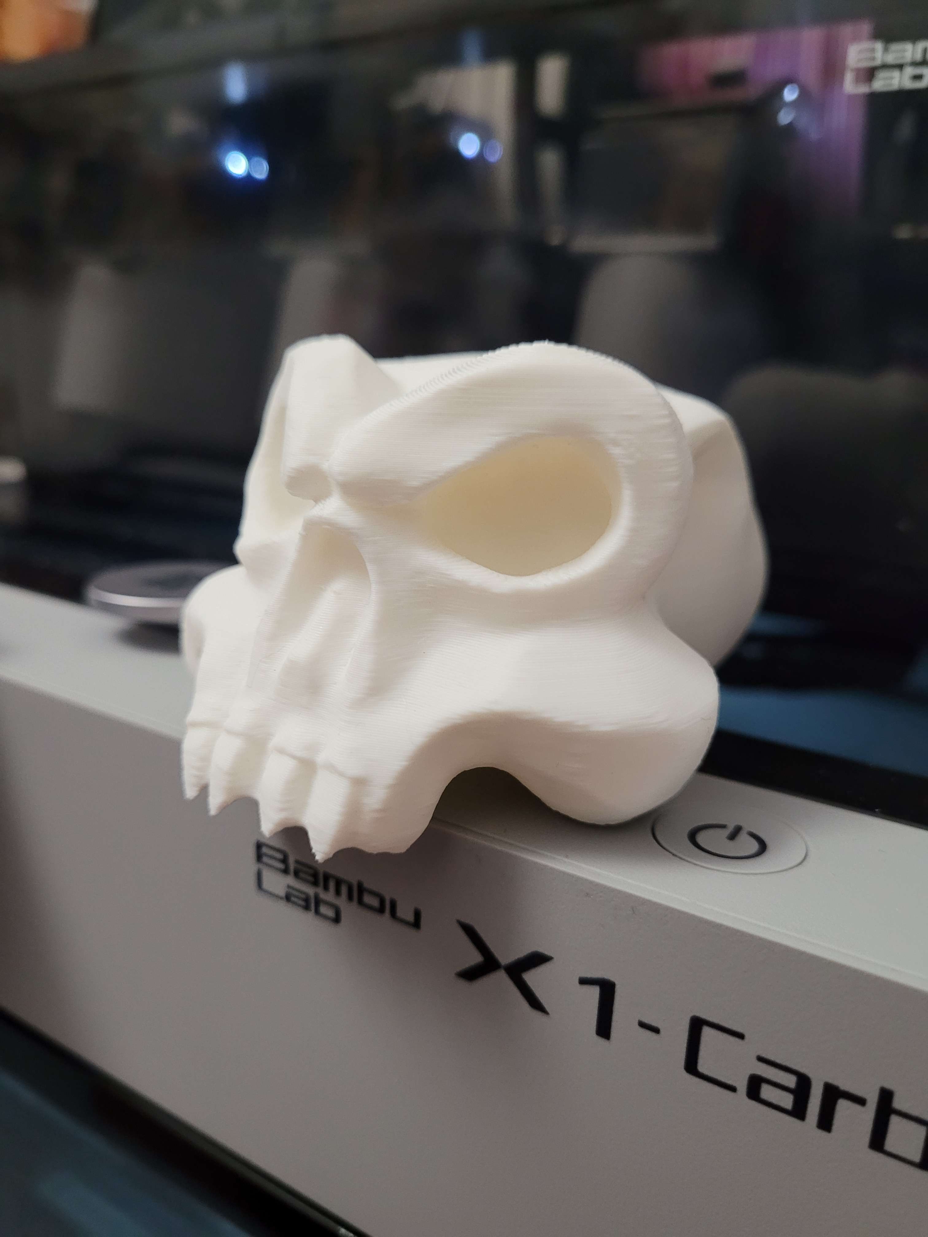Skull design - Crane design