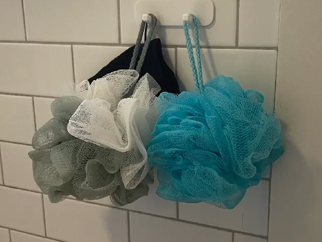Shower Loofah Hook