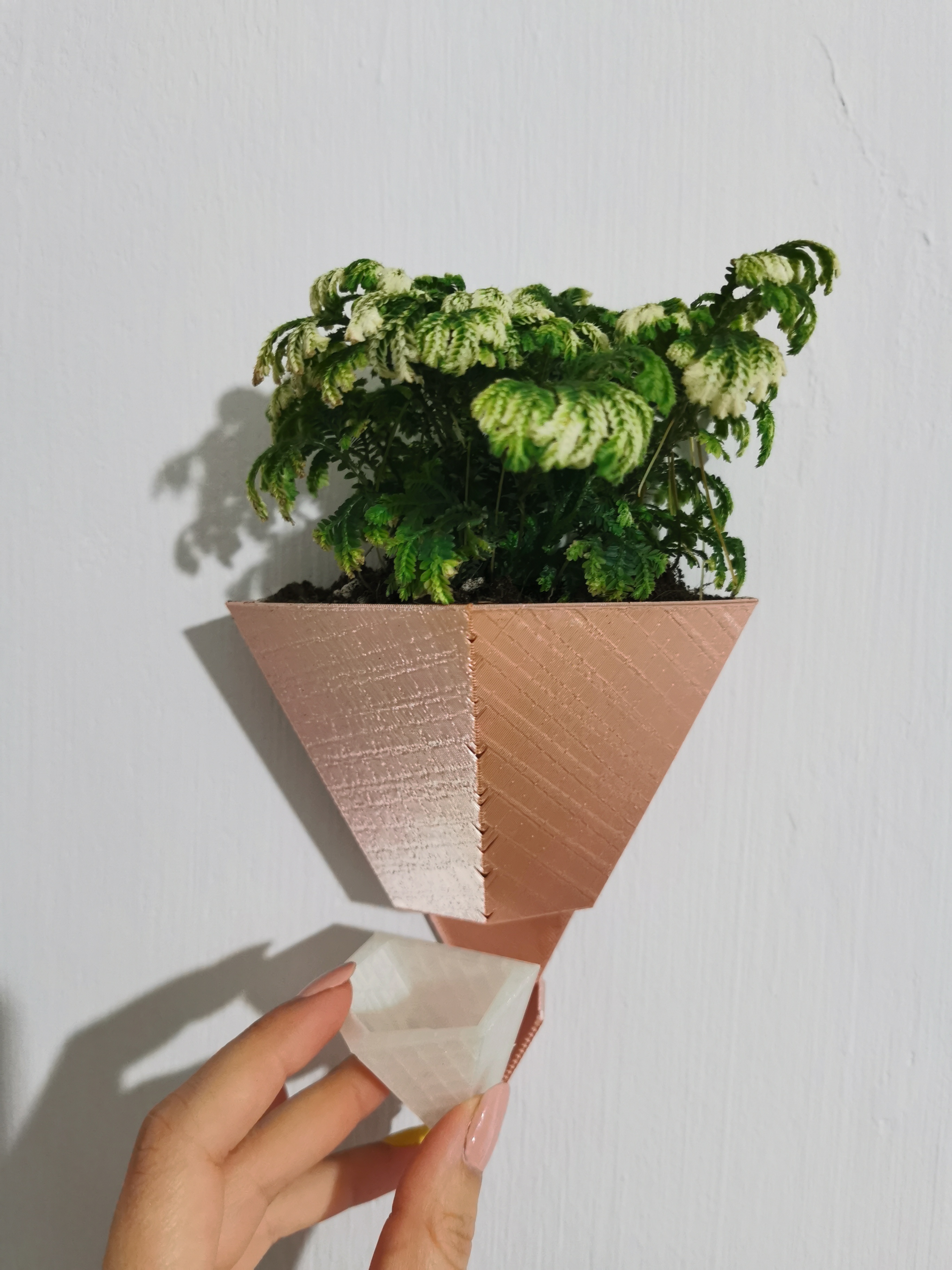 Stylish wall hanged planters