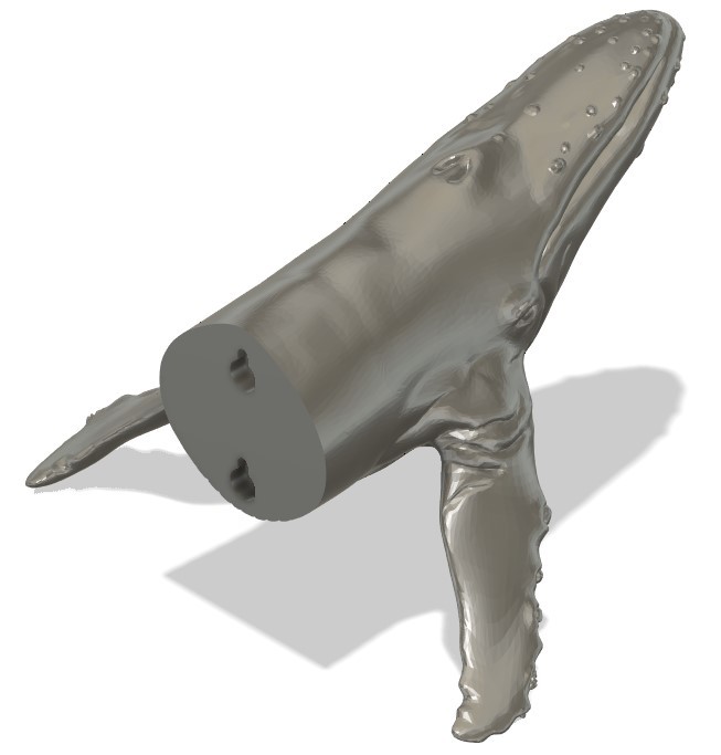 Miniatura 4 do modelo 3D Humpback Whale Mount