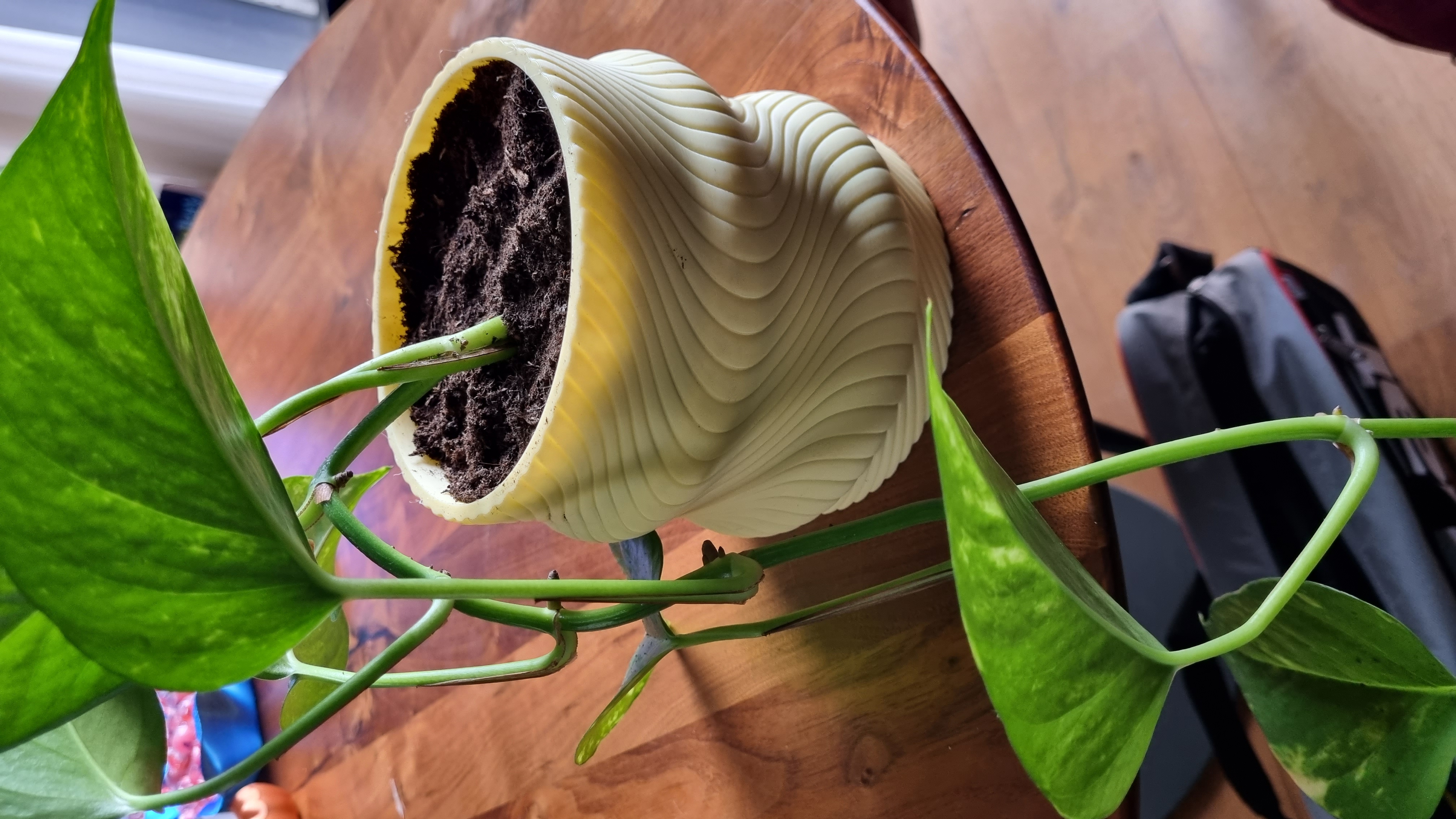 Plantpot