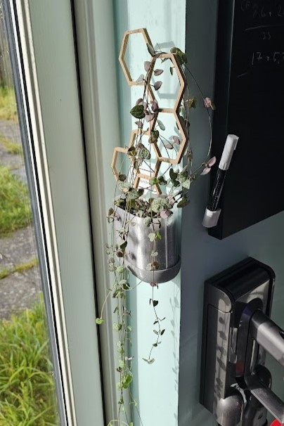 Wall planter