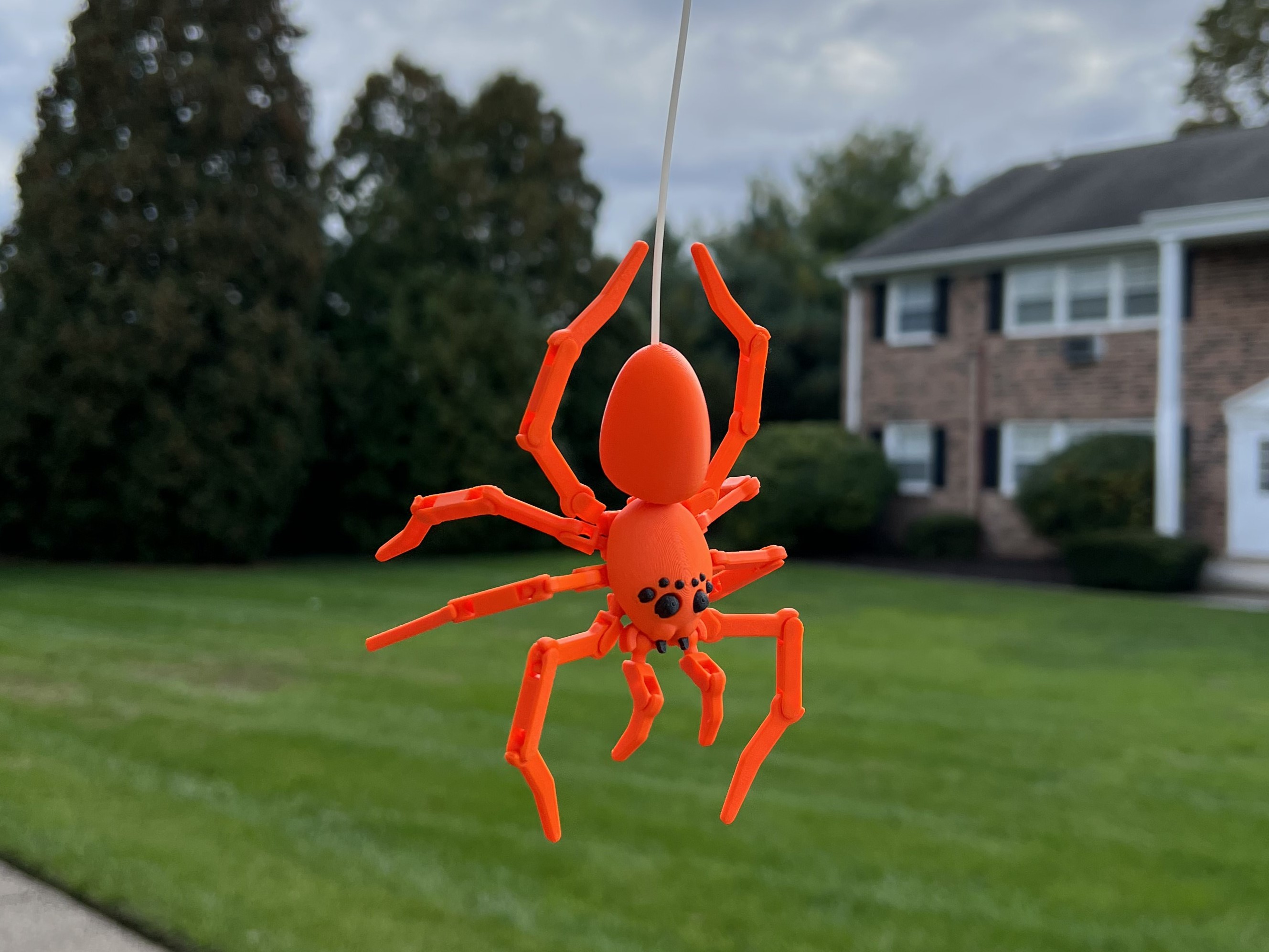 Articulated Spider by soozafone | Download free STL model | Printables.com