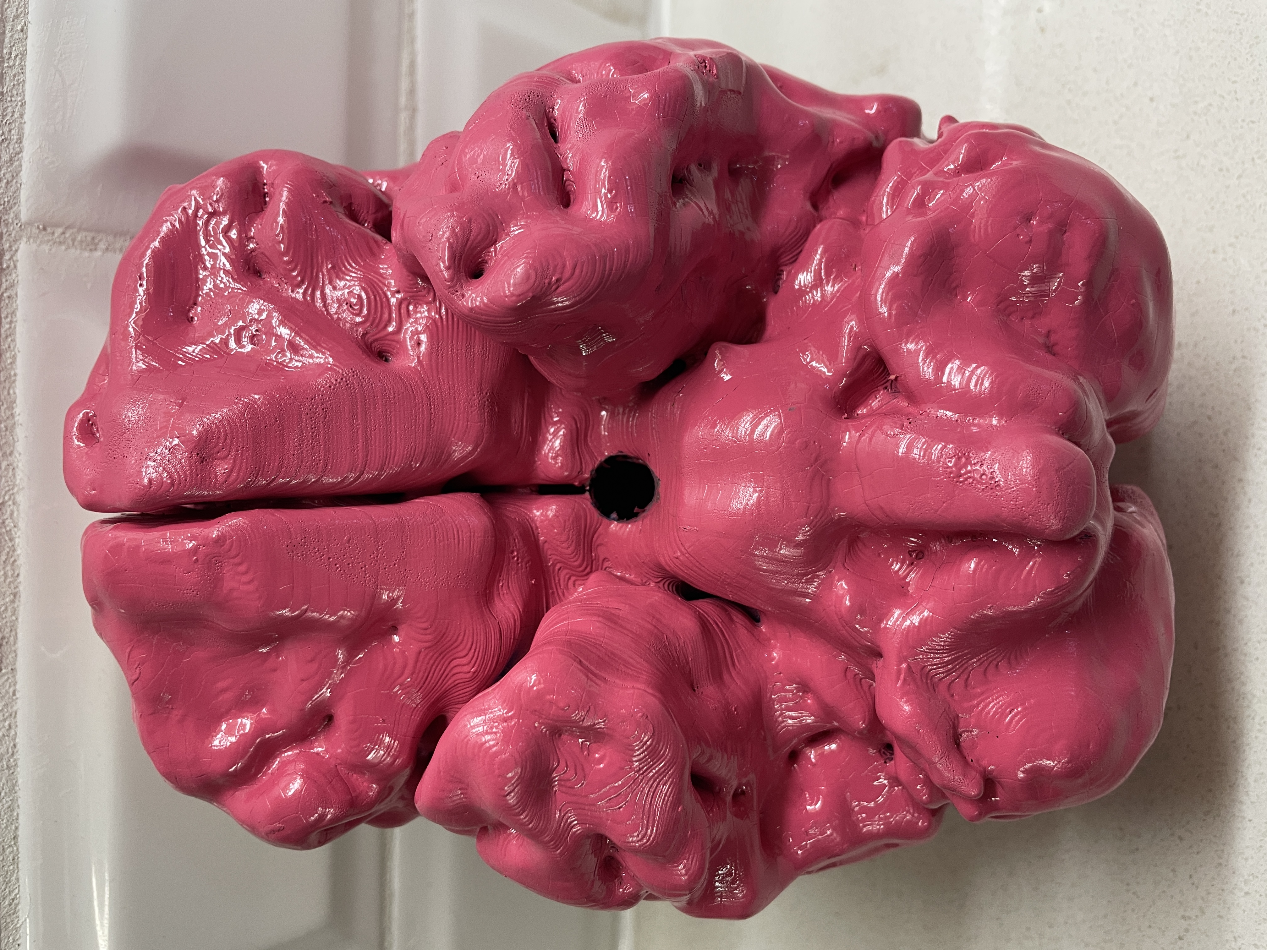 Miniatura 5 do modelo 3D Anatomically Correct Human Brain From MRI Scan