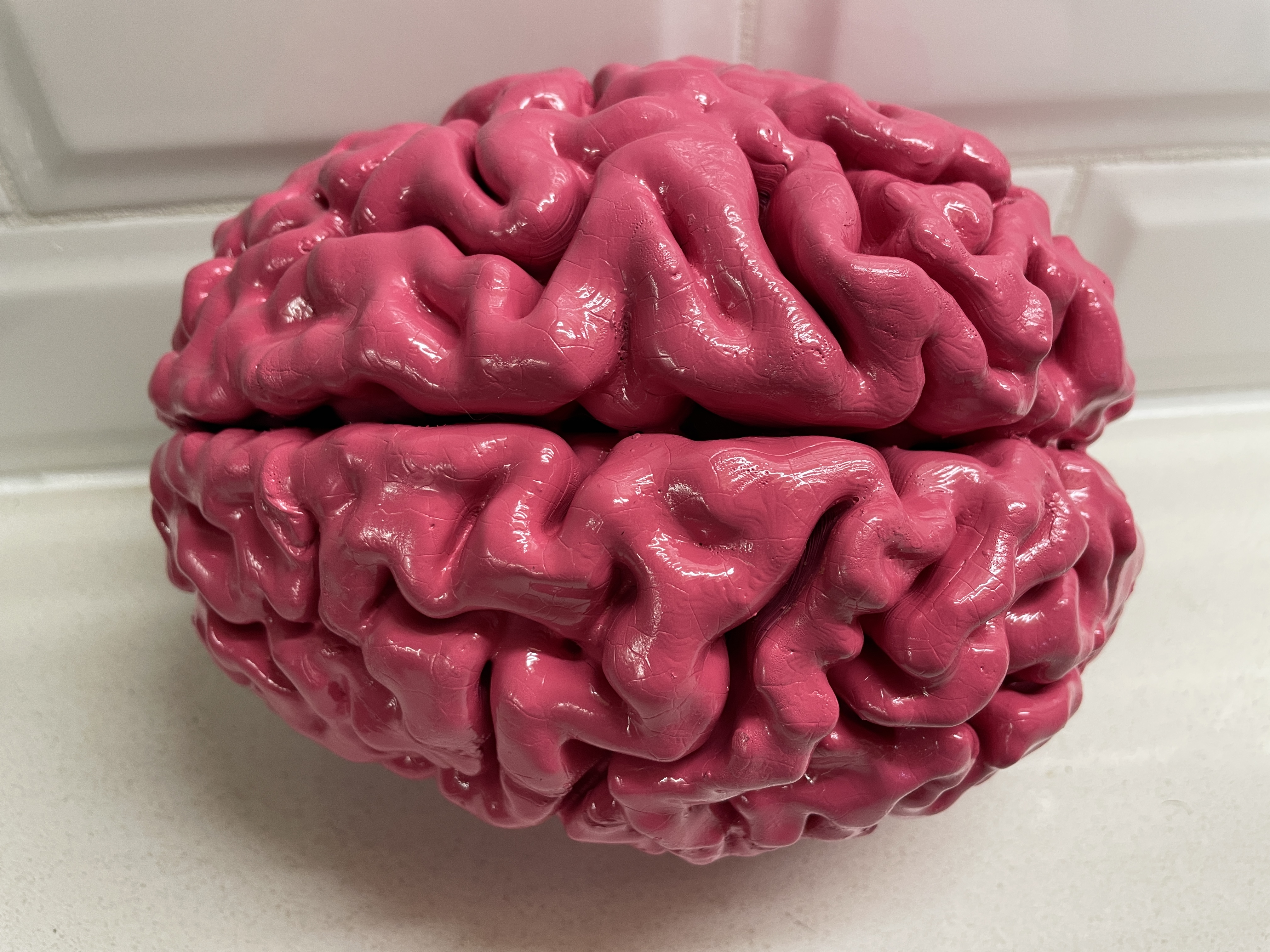 Miniatura 3 do modelo 3D Anatomically Correct Human Brain From MRI Scan