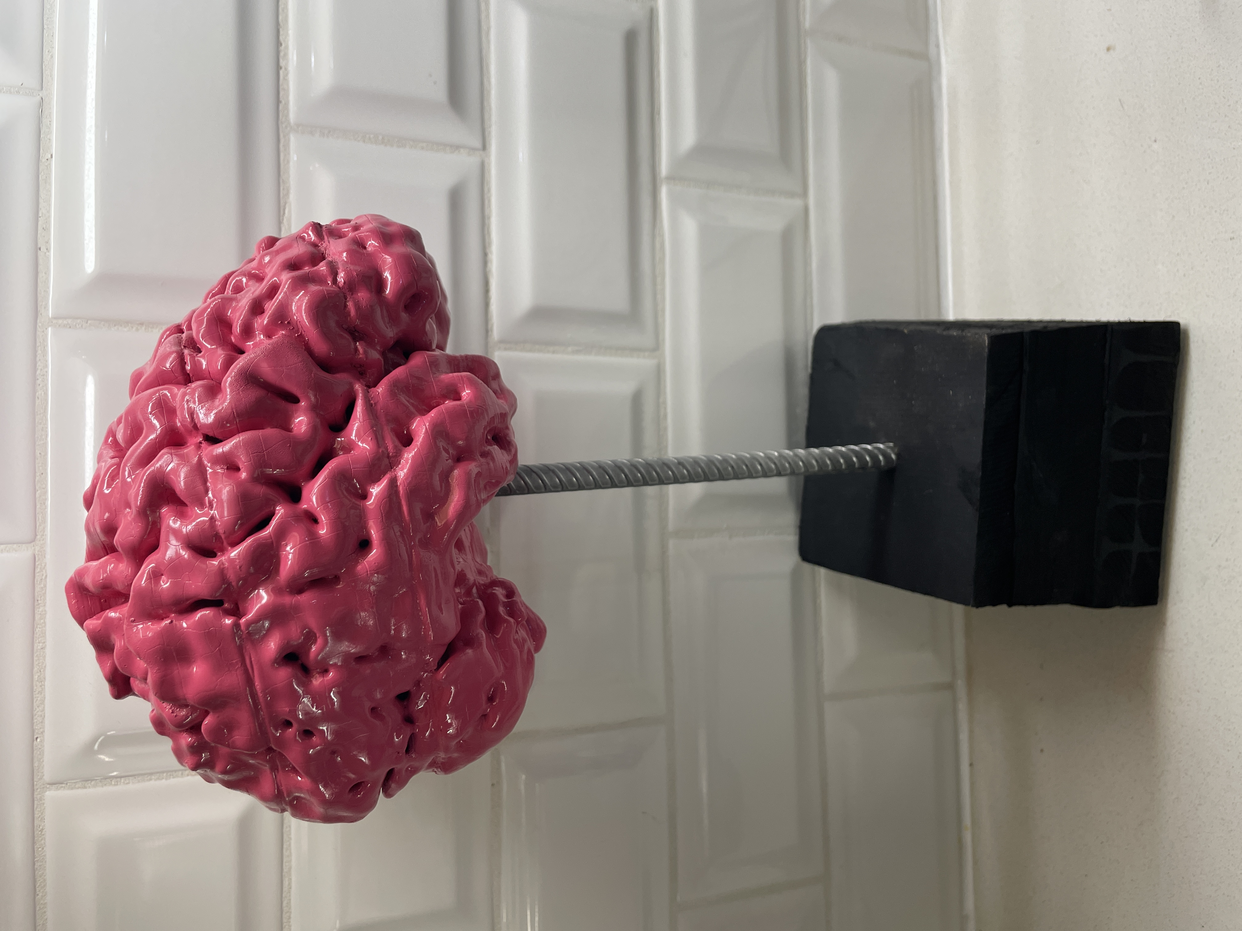 Miniatura 2 do modelo 3D Anatomically Correct Human Brain From MRI Scan