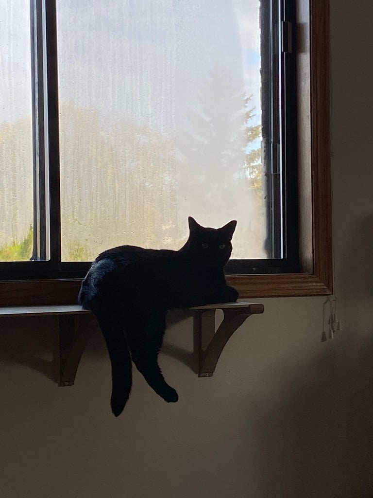 Miniatura 3 do modelo 3D Cat Shelf