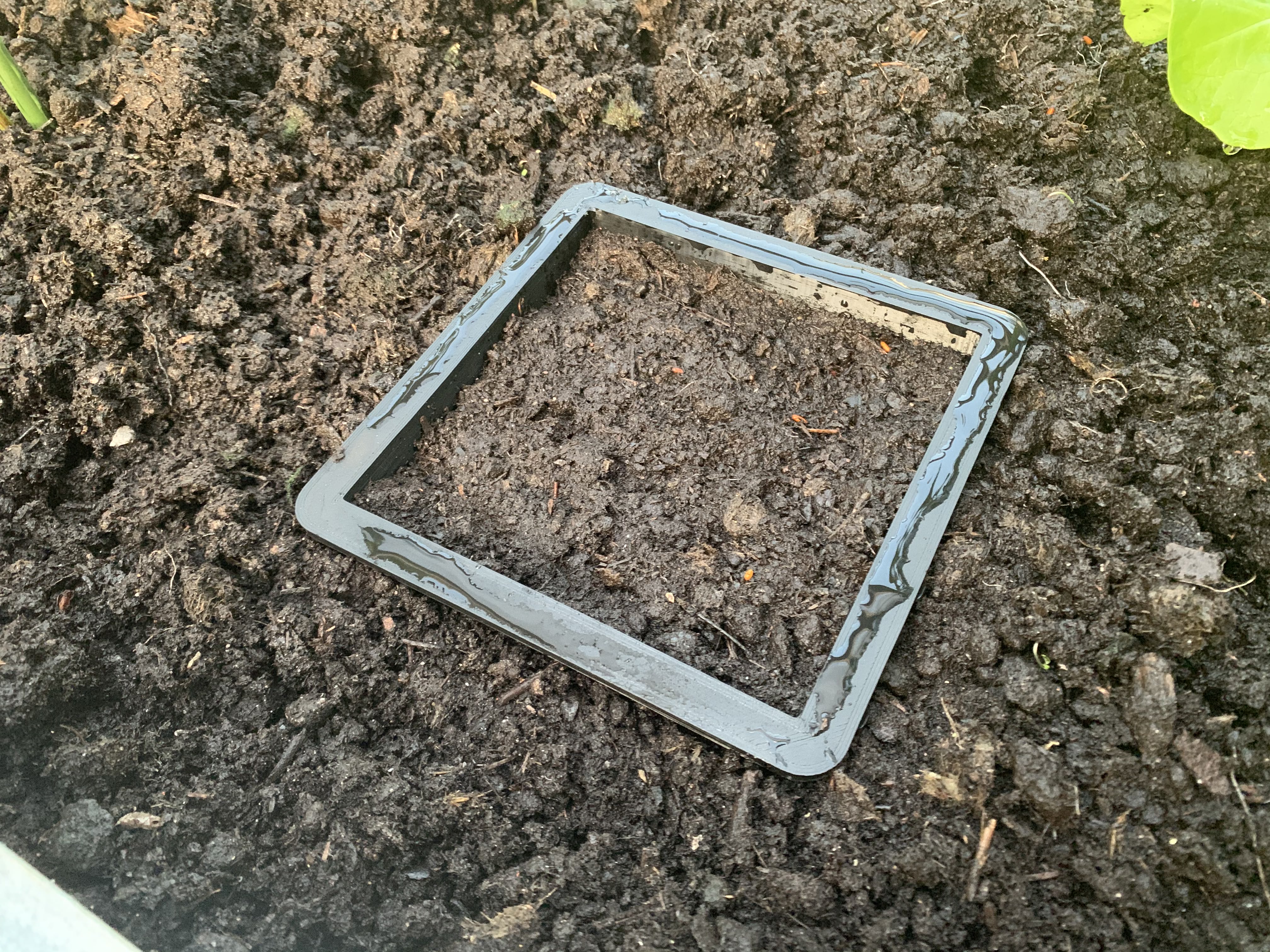 Seed Frame for Herbs 15 cm x 15 cm