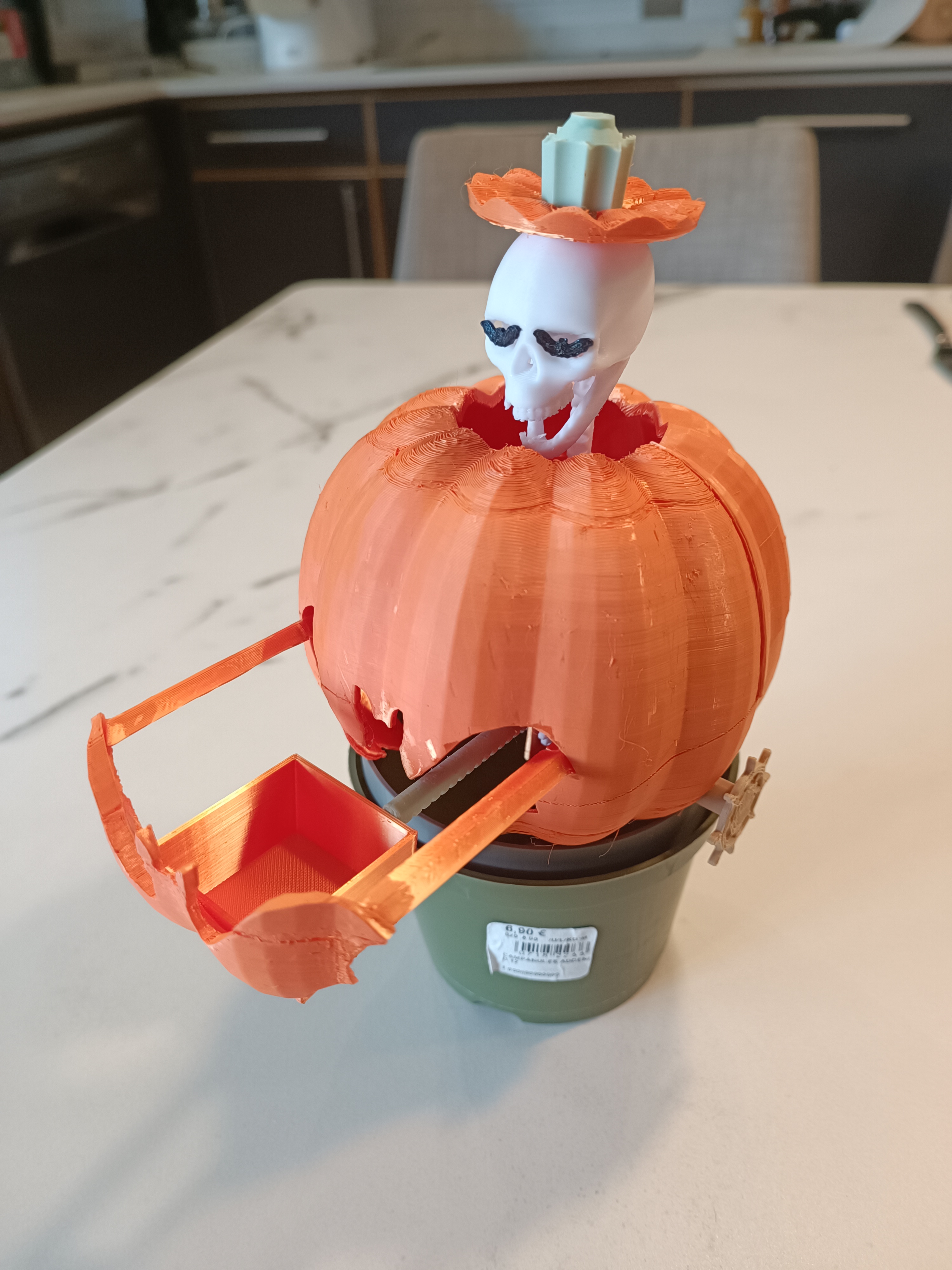 Surprise pumpkin