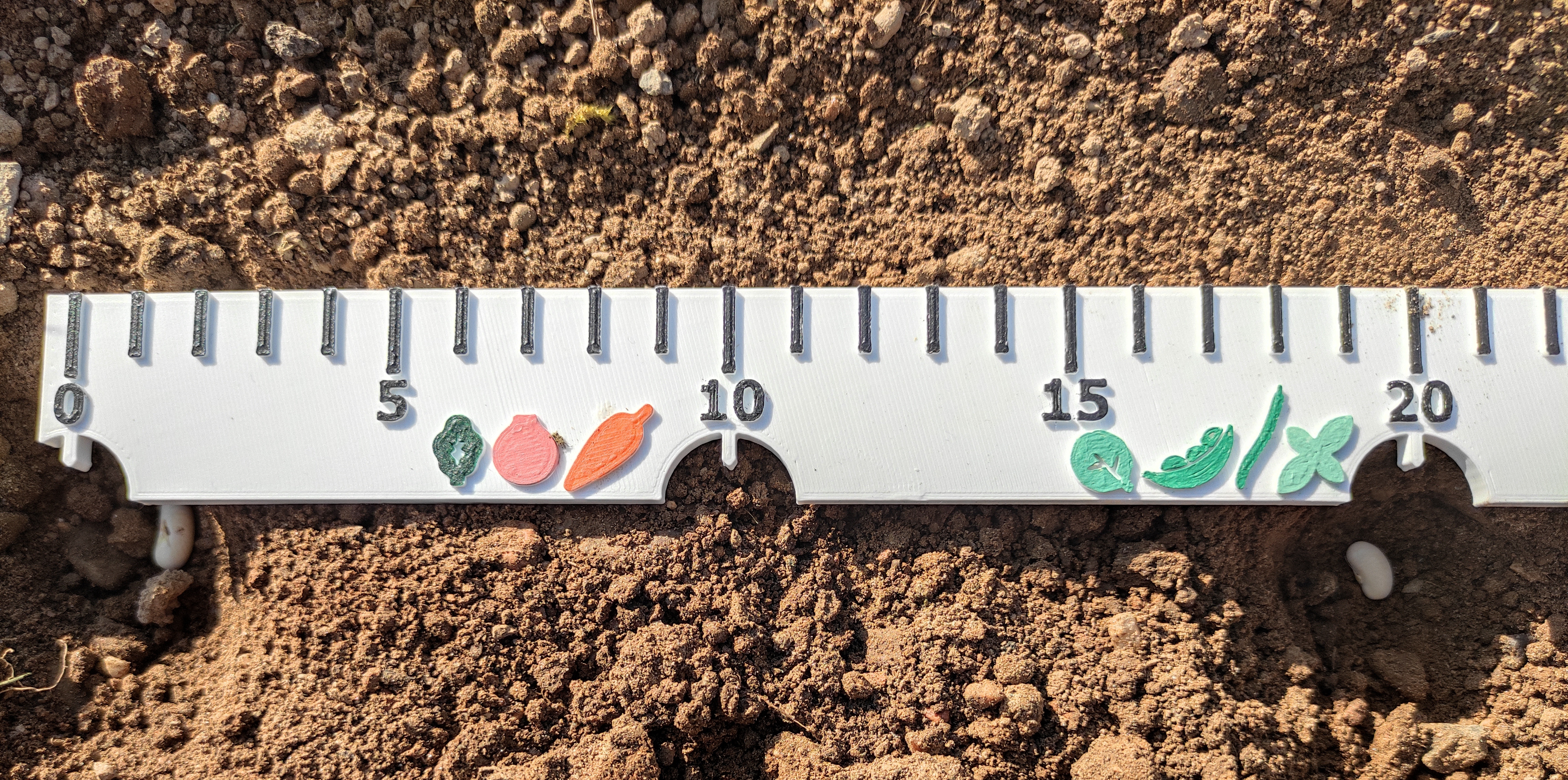 Ruler for seeding — miniatura 2