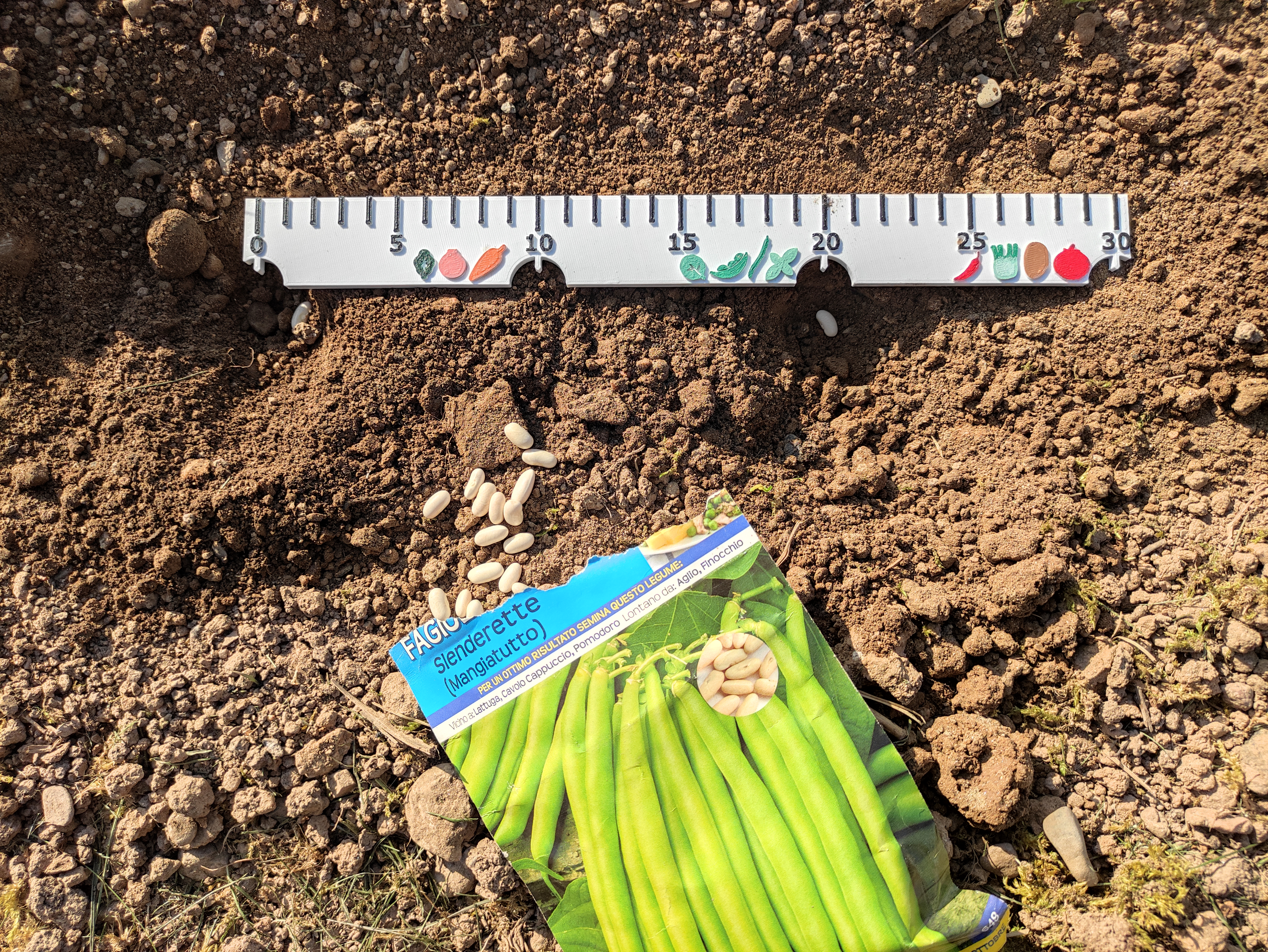 Ruler for seeding