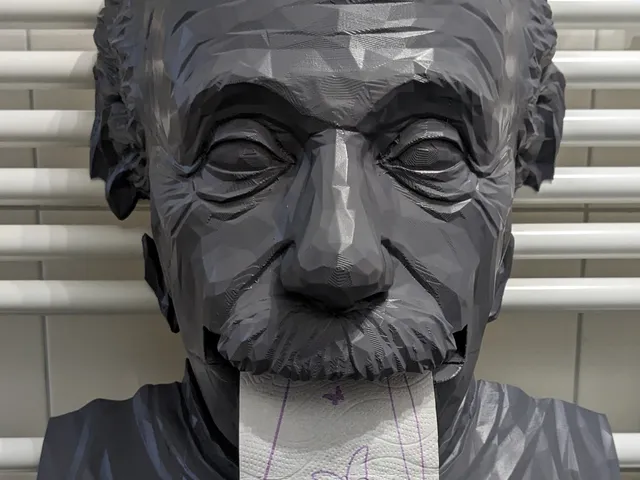 Klopapierhalter Einstein  Radiator toilet paper holder