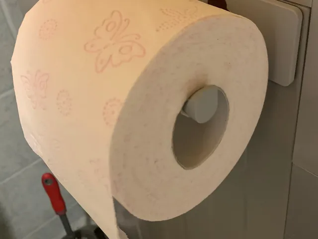 Toilet Paper Holder