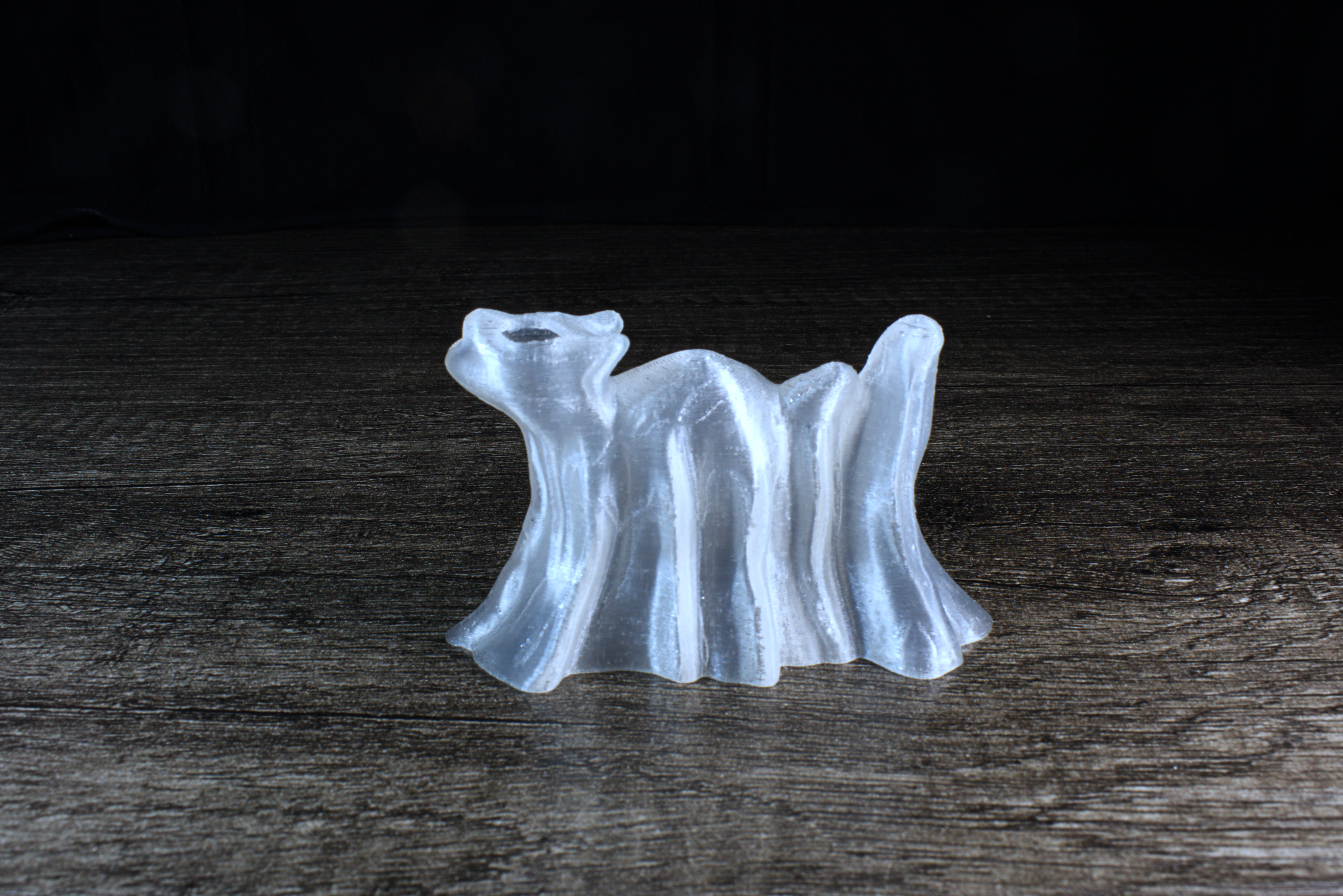 Halloween Ghost Cat Yowling At The Moon