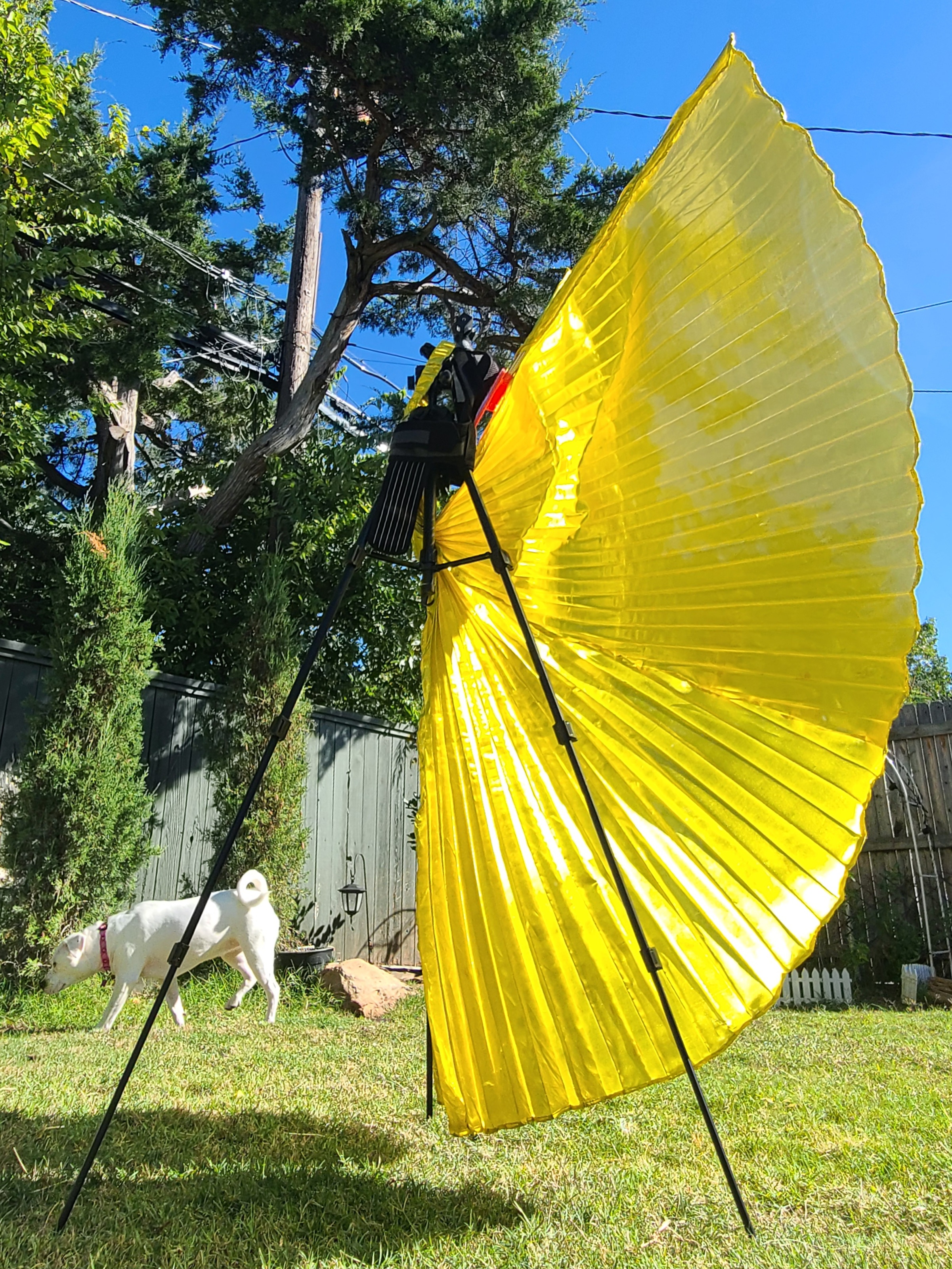 Retractable Costume Wing Mount