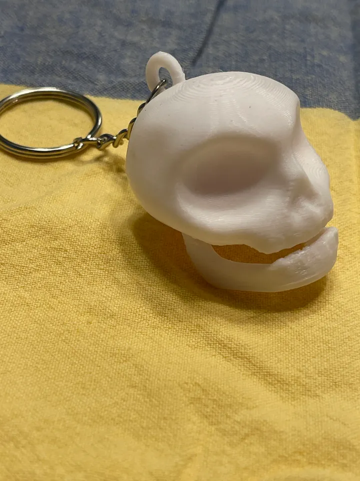 Skull Keychain with Moving Jaw by joemag3D | Download free STL