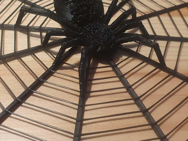 Spider in net