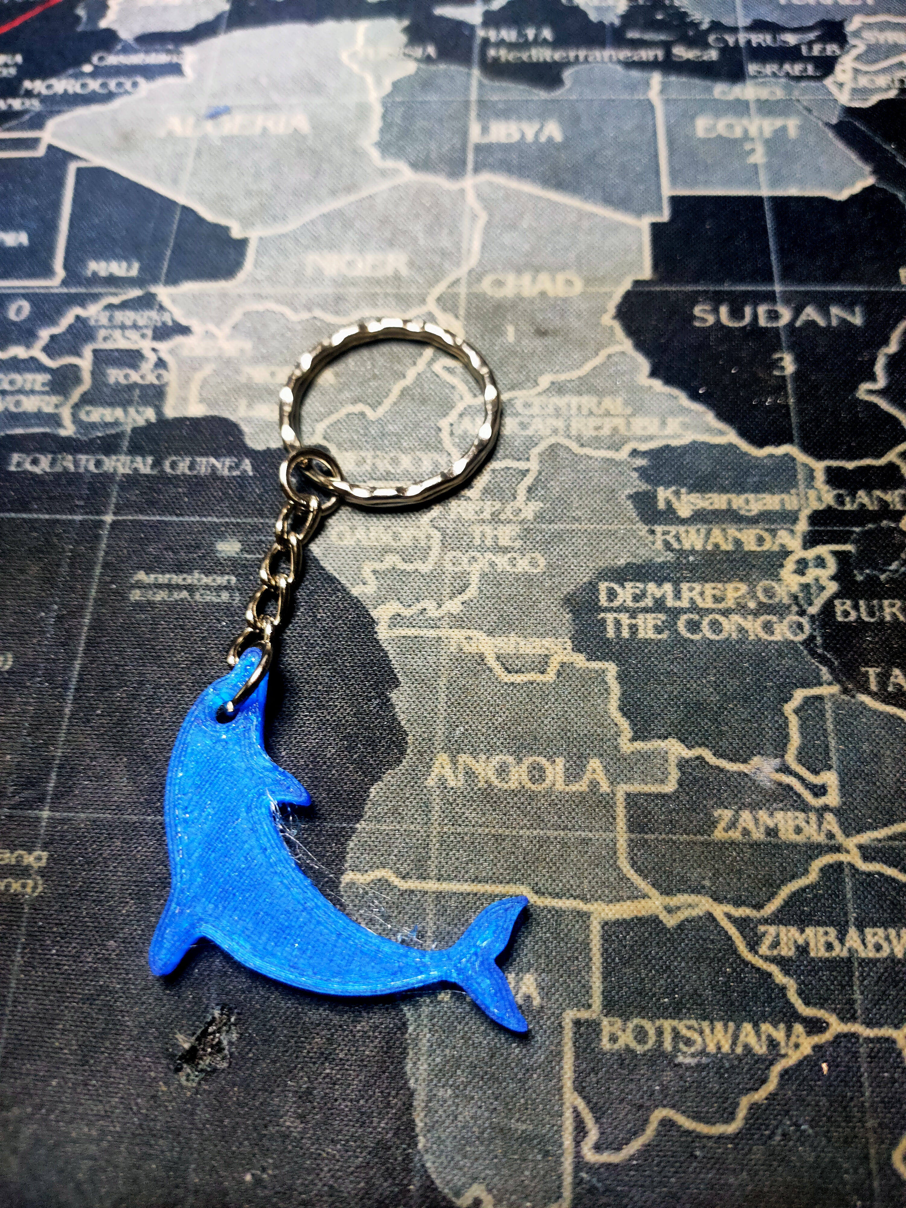dolphin keychain