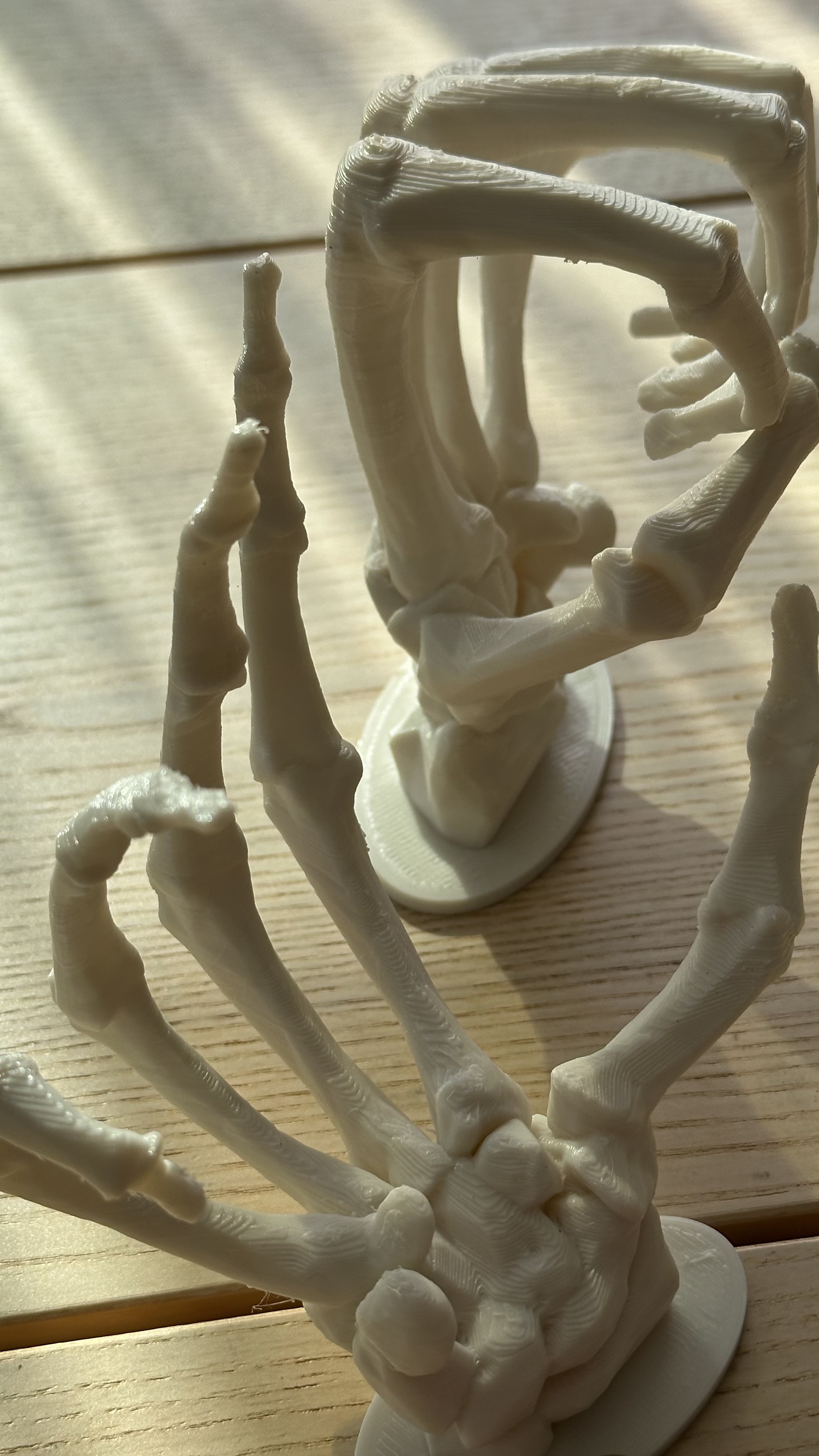 Skeleton Hands