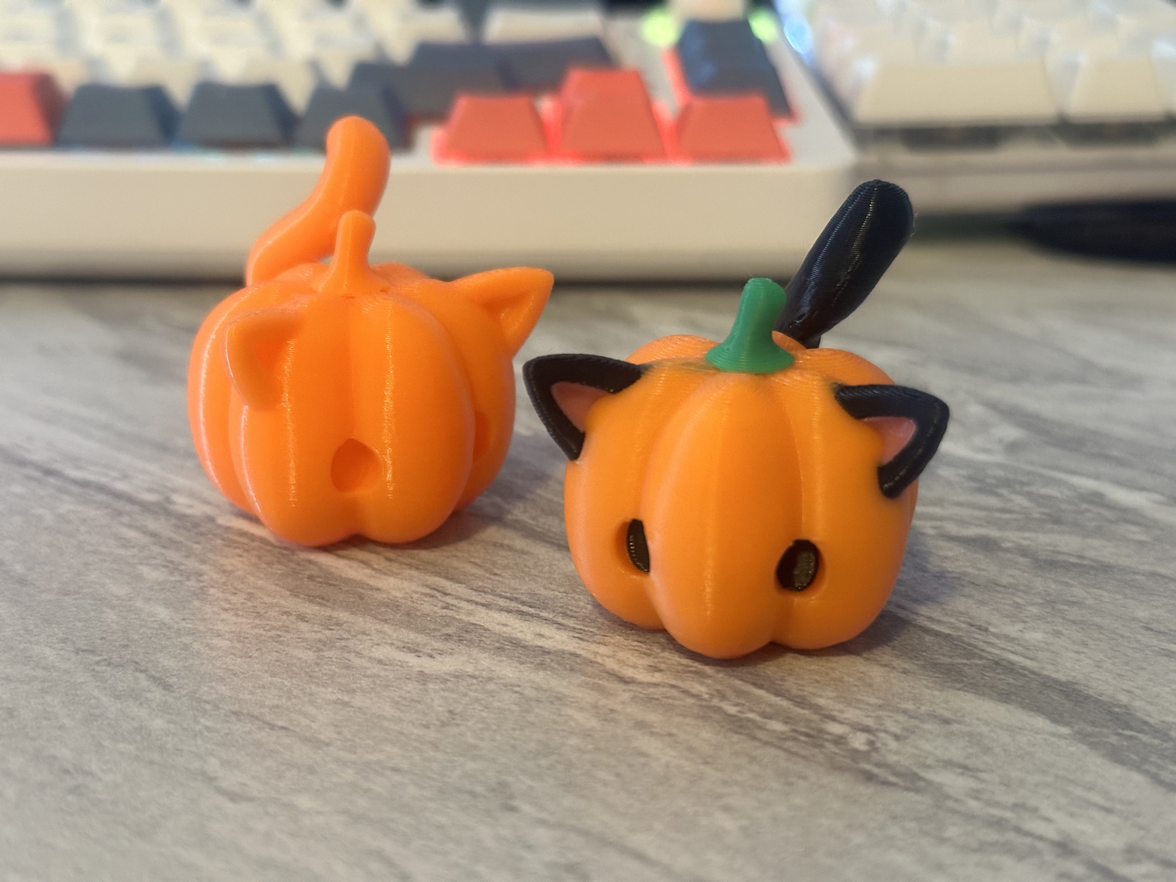 pumpkiee cat (no supports)