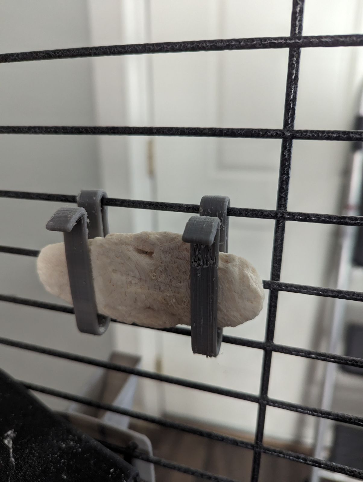Cuttle Bone Holder