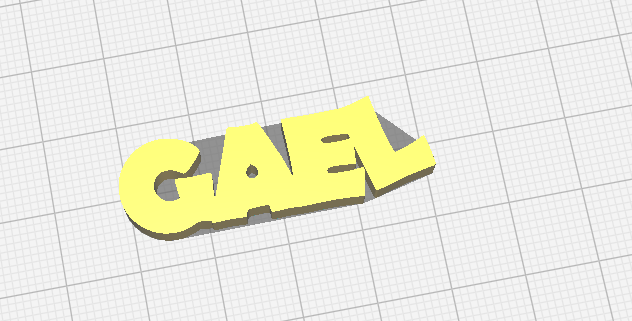 Gael name