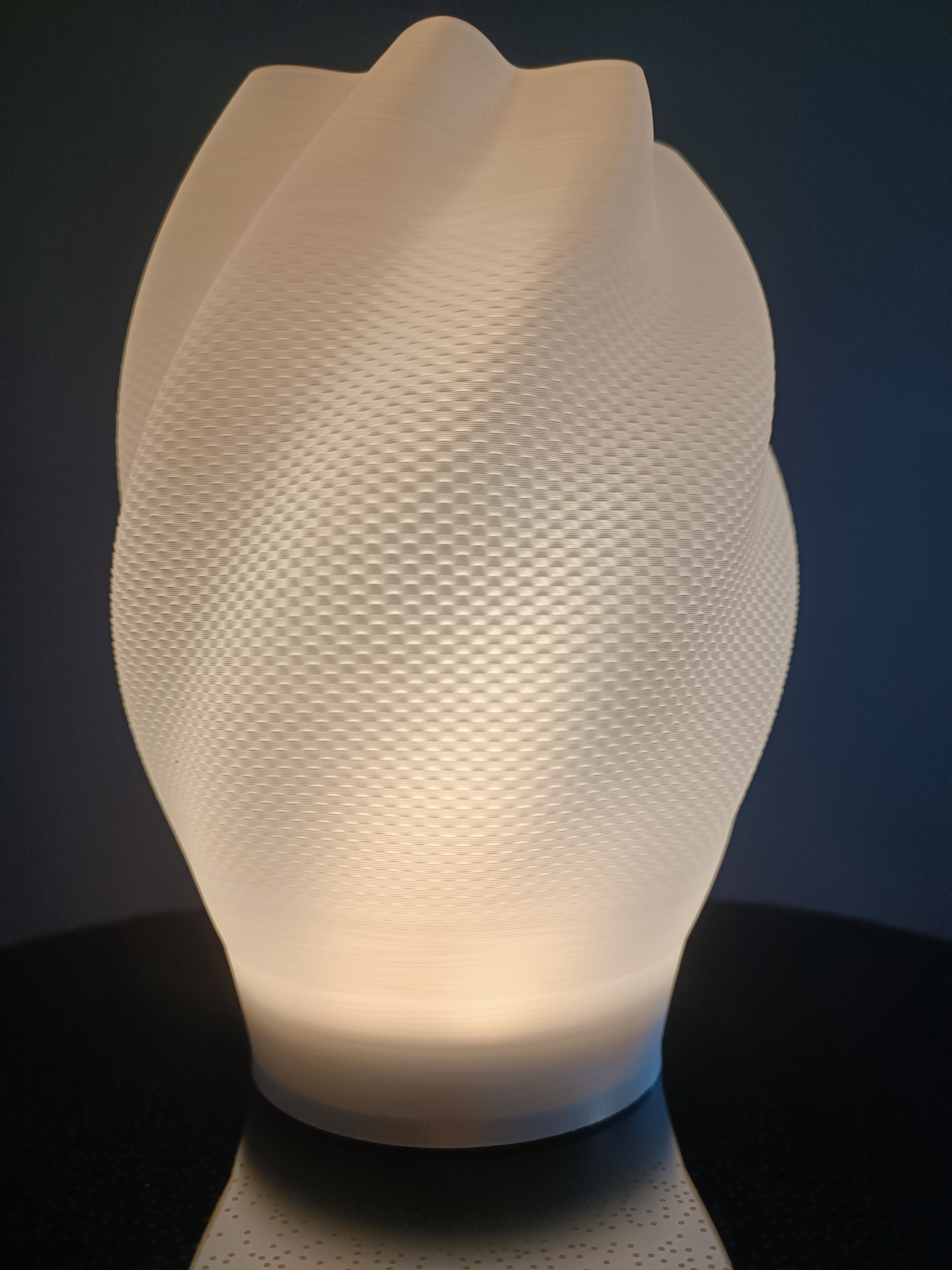 Lamp Shade or Vase Example