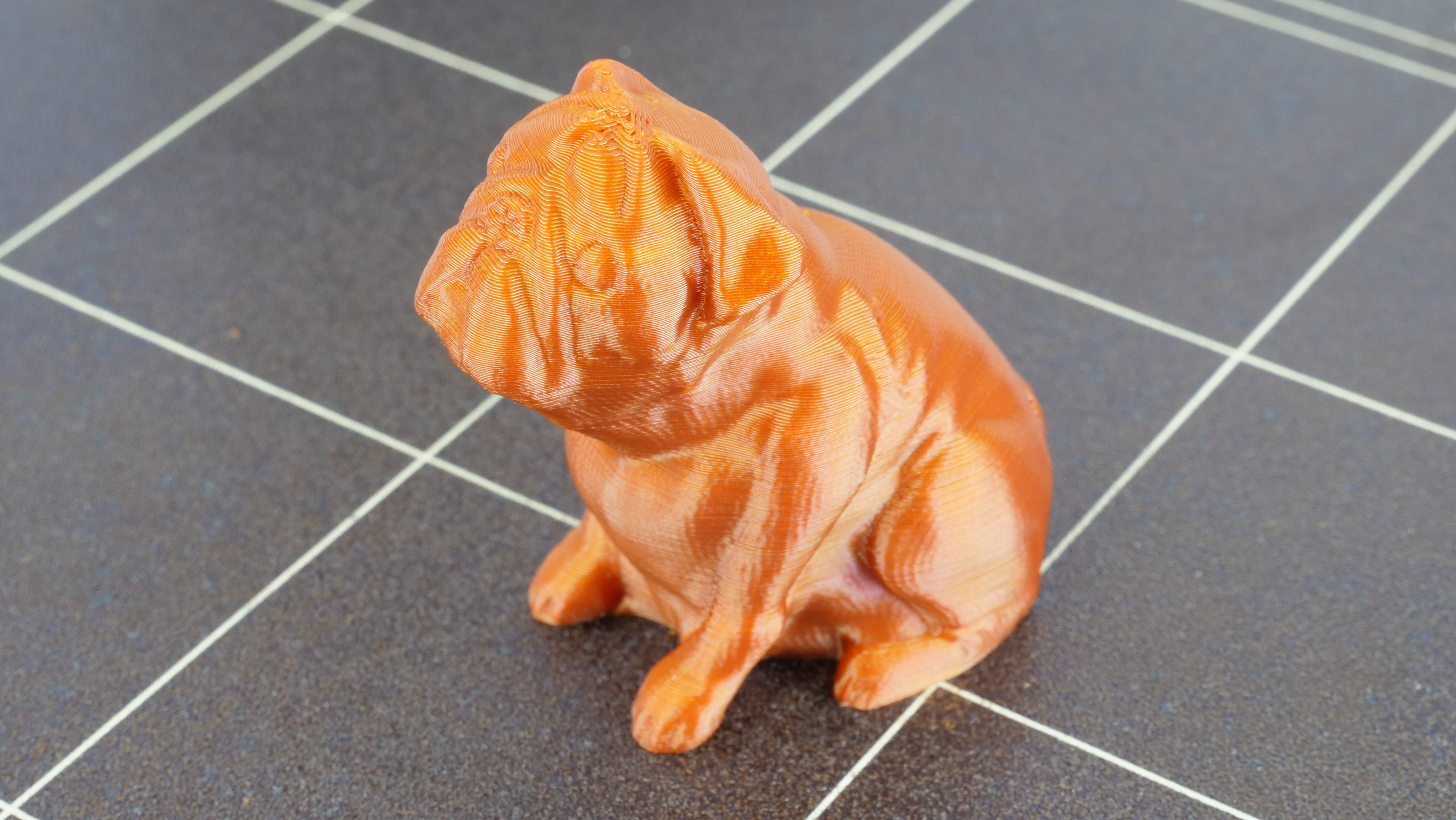 Josef Prusa's pug Buddy