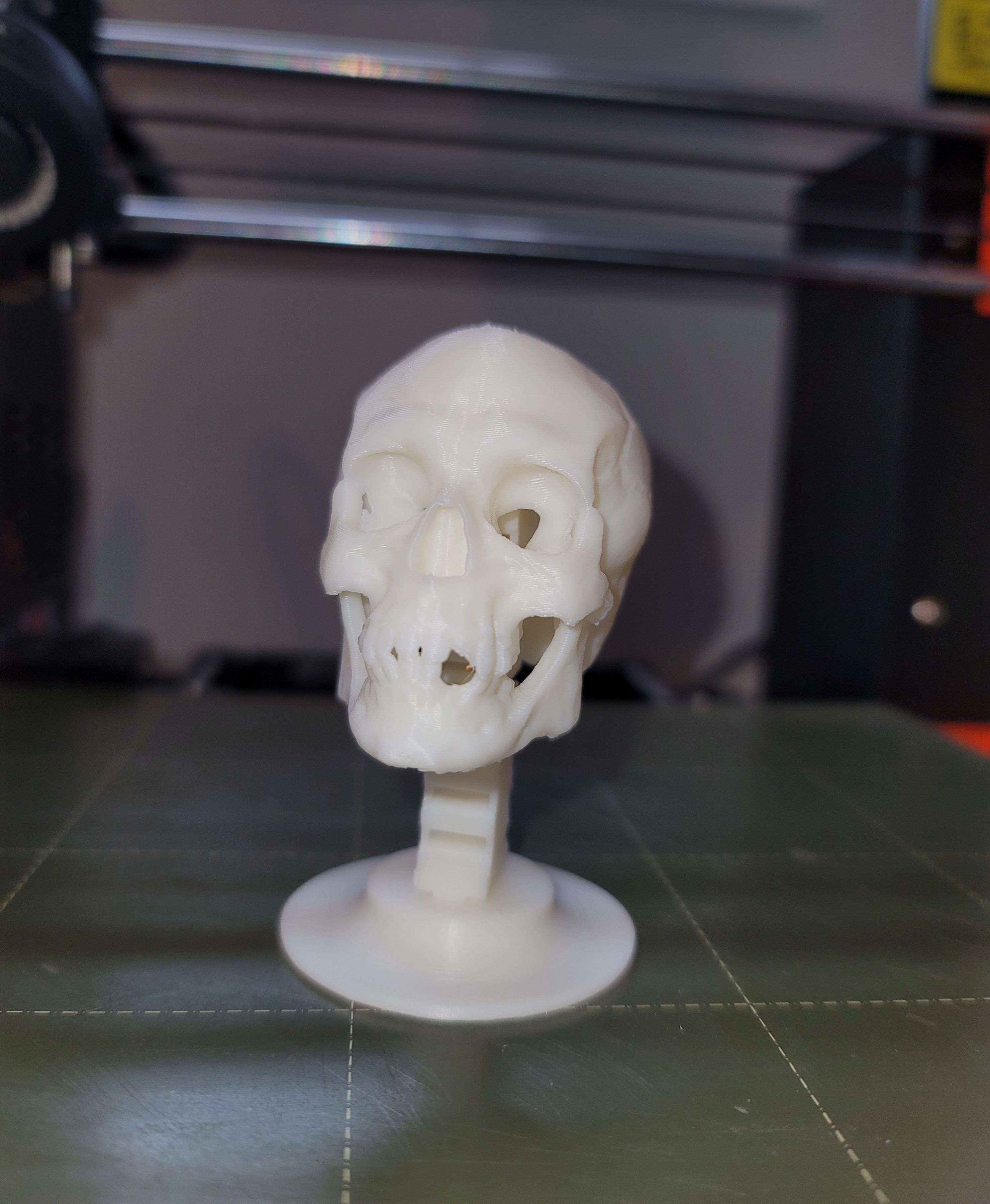 Skull Bobble Head