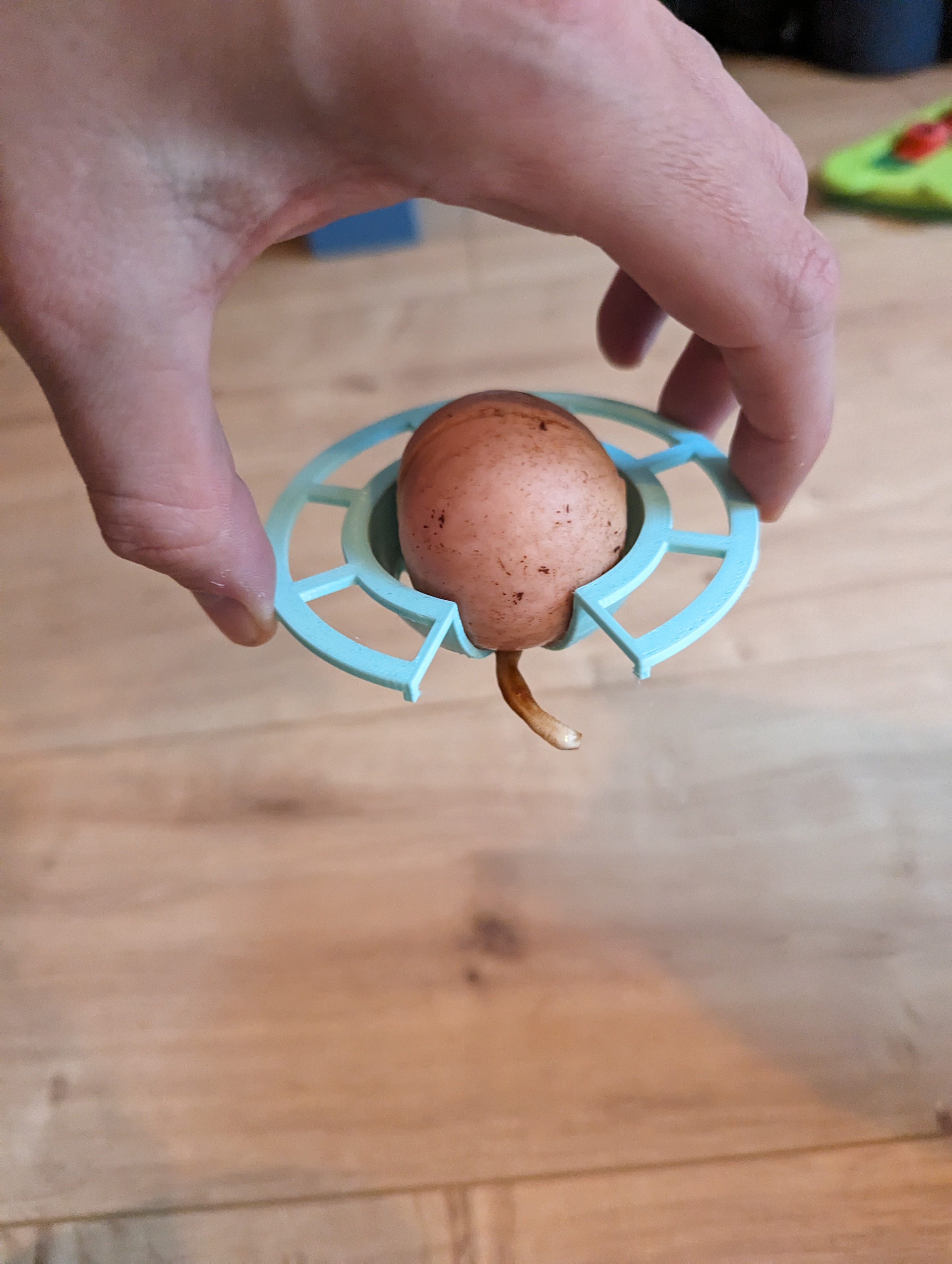 Miniatura 3 do modelo 3D Avocado Pit Holder