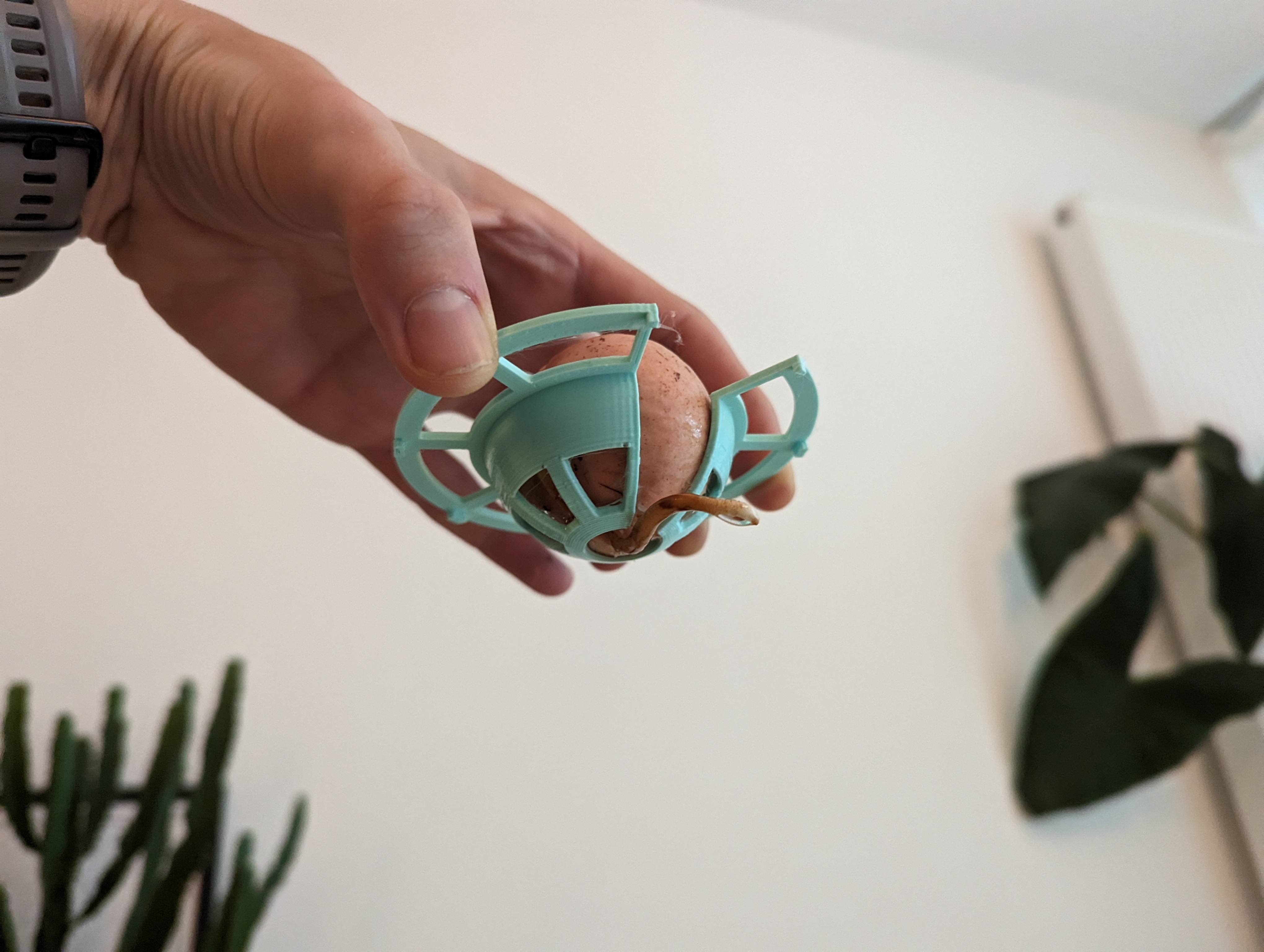Miniatura 4 do modelo 3D Avocado Pit Holder