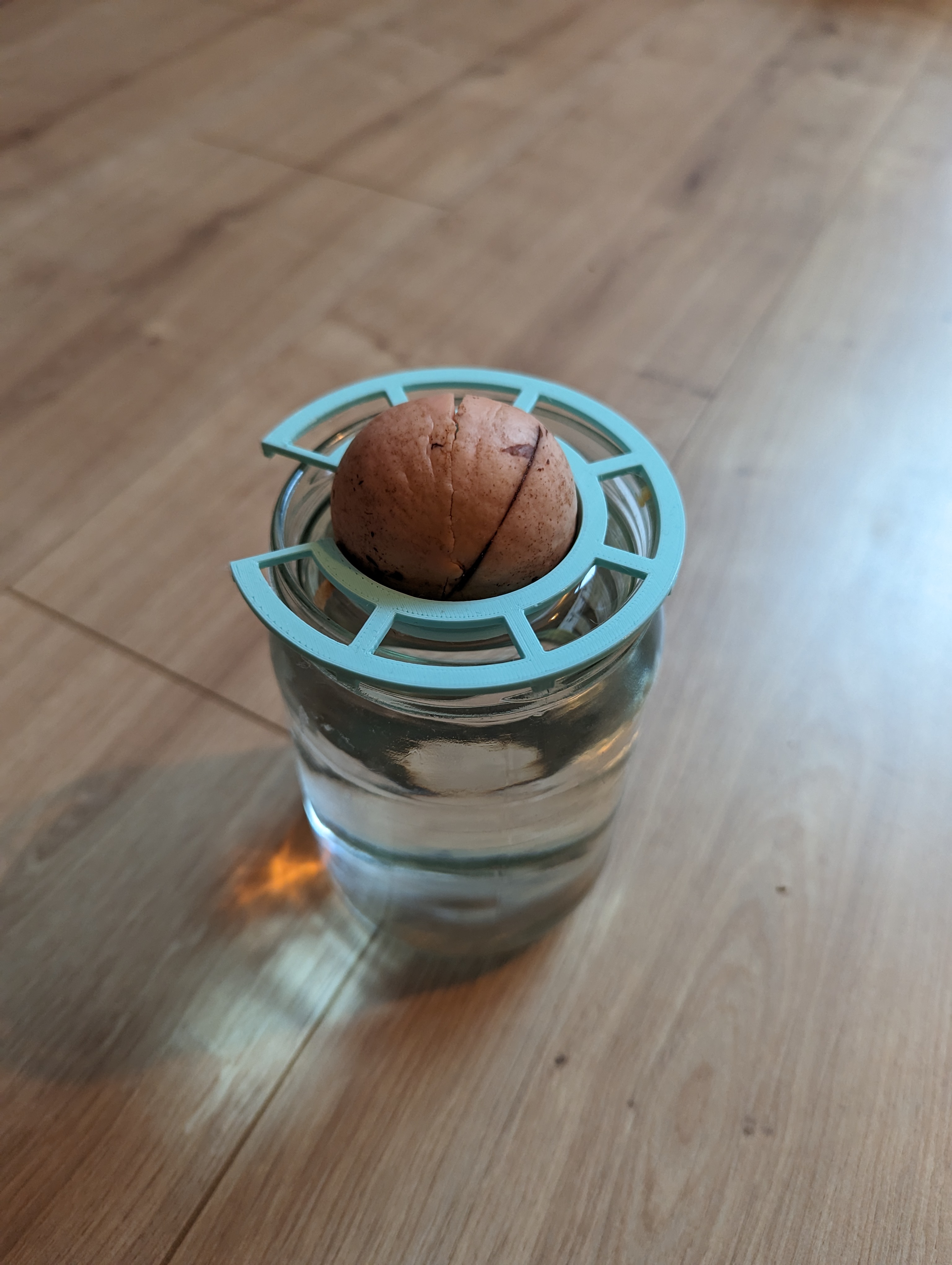 Miniatura 6 do modelo 3D Avocado Pit Holder