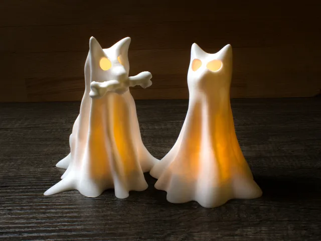 Halloween Ghost Dog and Cat Light