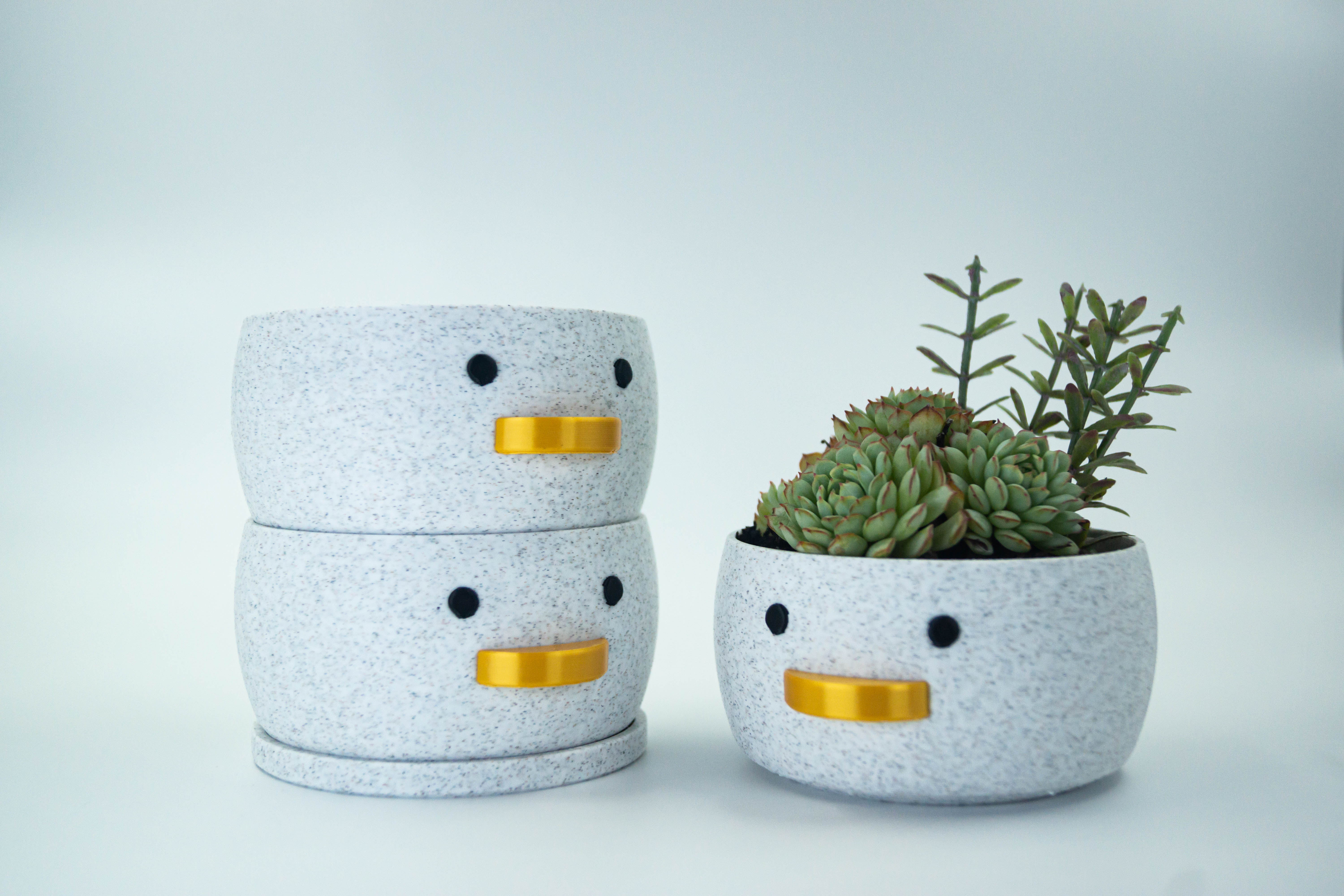 Mini Duck Planter