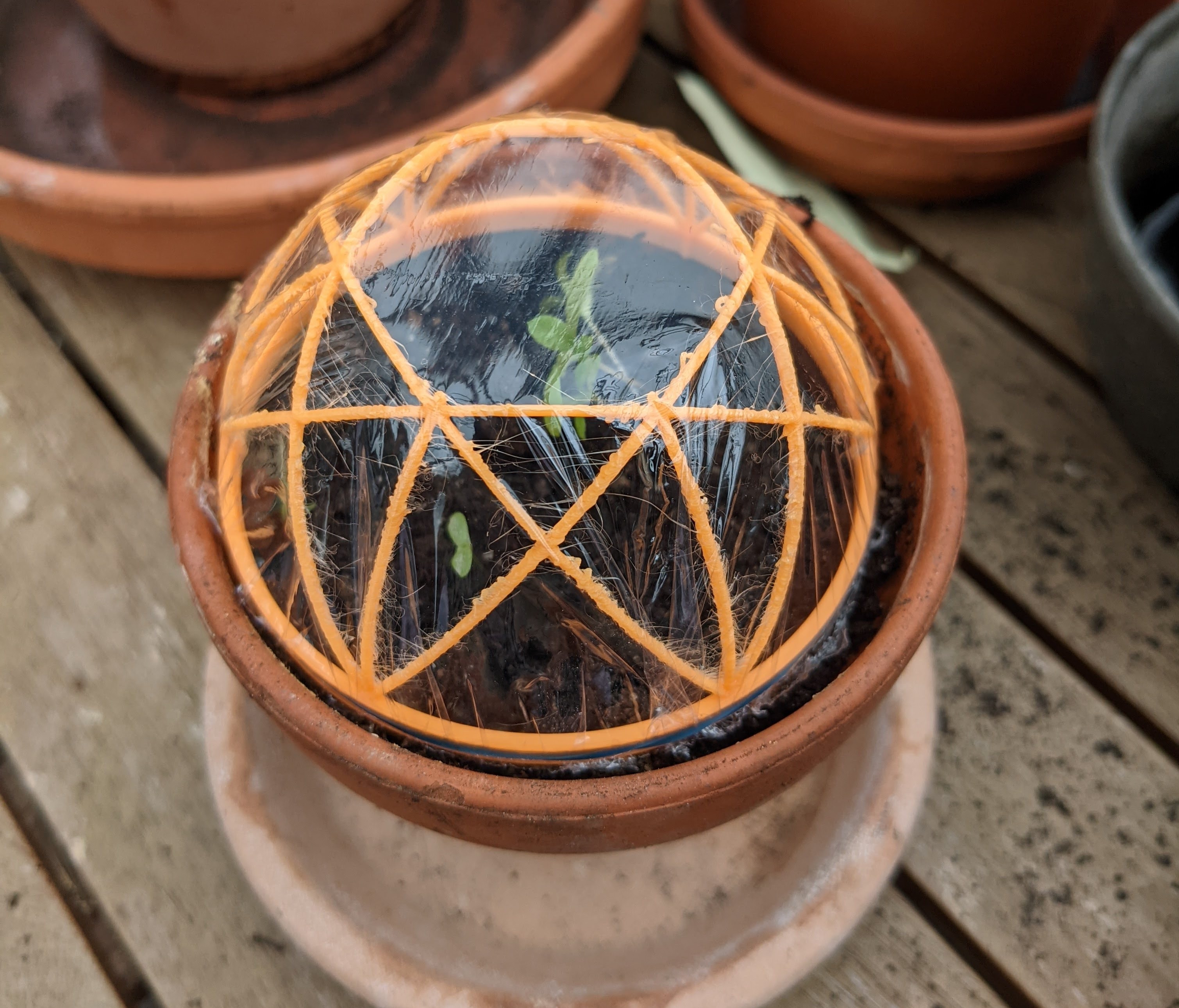 Mini-Greenhouse