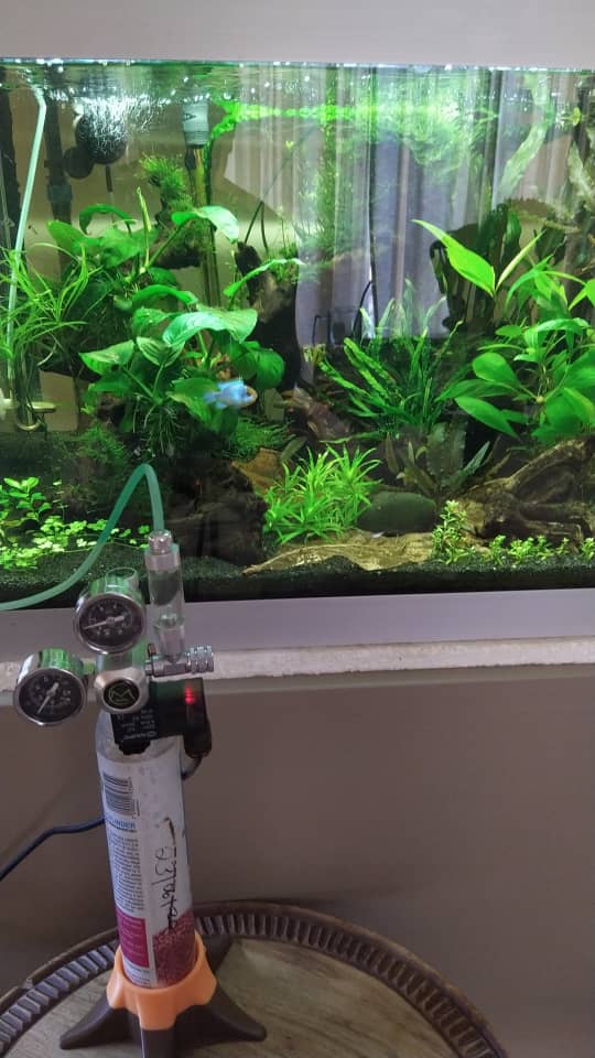 Yet another Soda streamgas bottle stand by pflug Download free STL