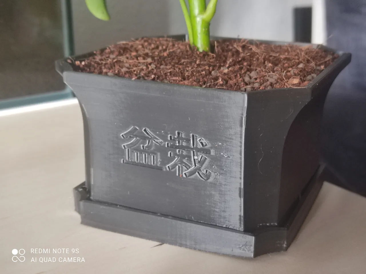 STL file Bonsai Pot 🪴・3D printer model to download・Cults