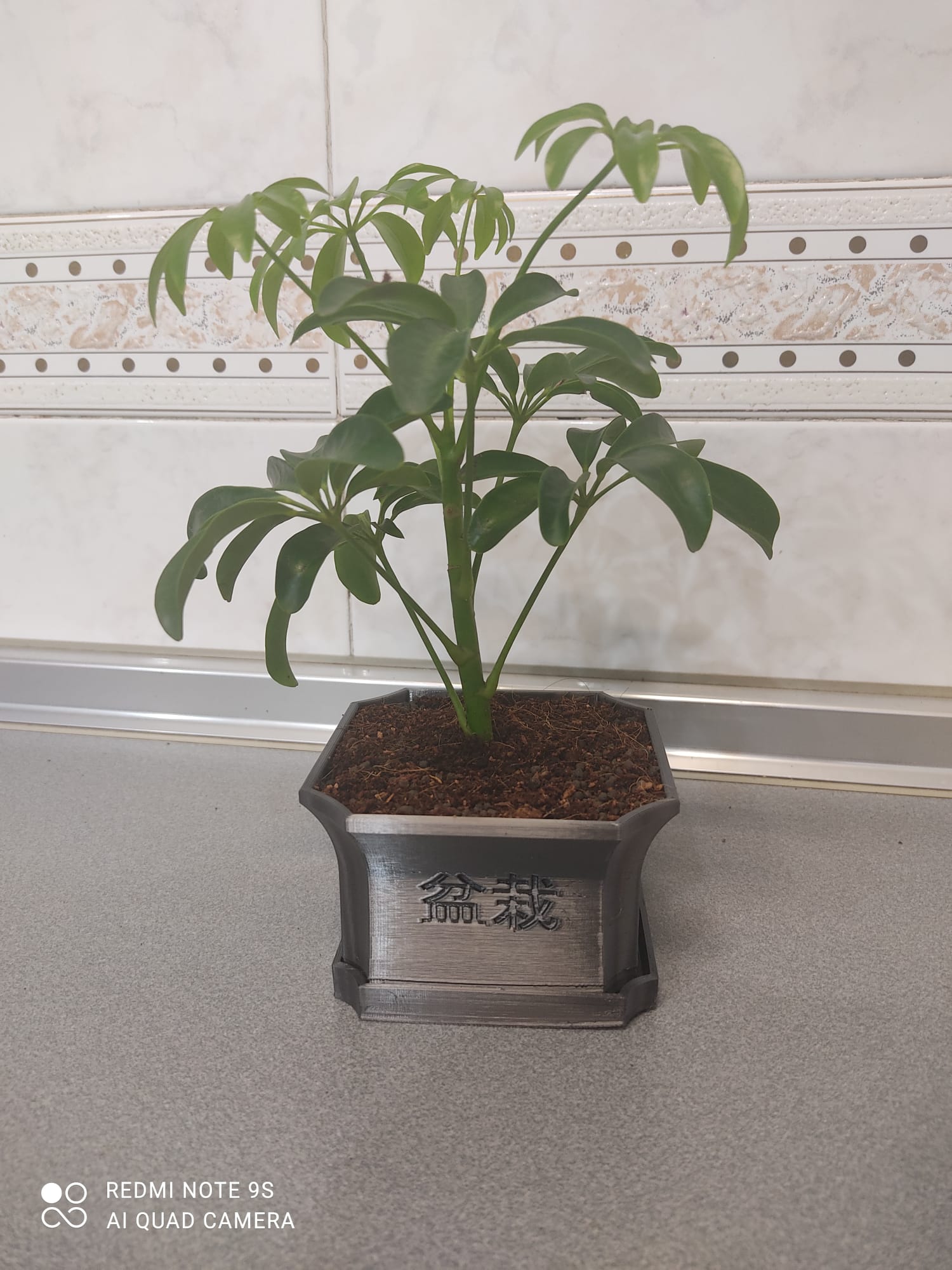 Miniatura 8 do modelo 3D Bonsai Pot