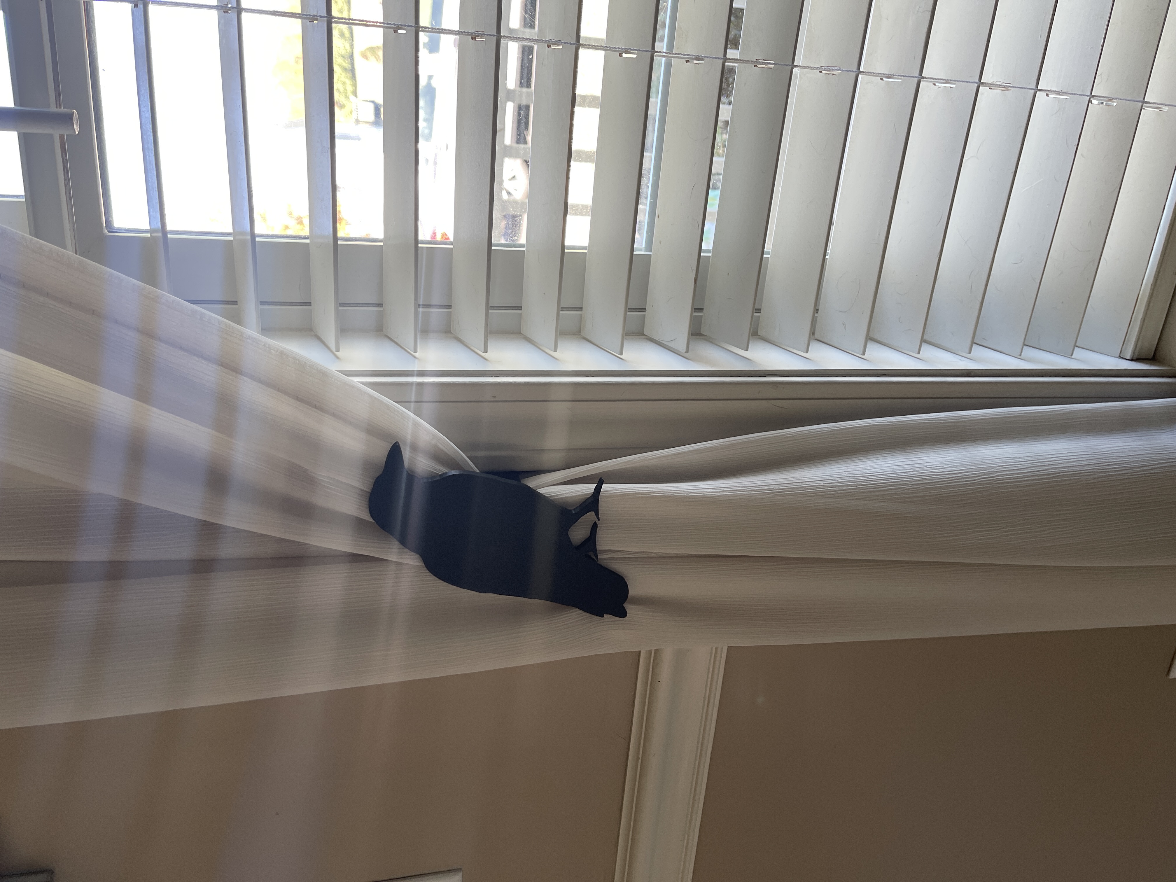 Raven Curtain Holdback