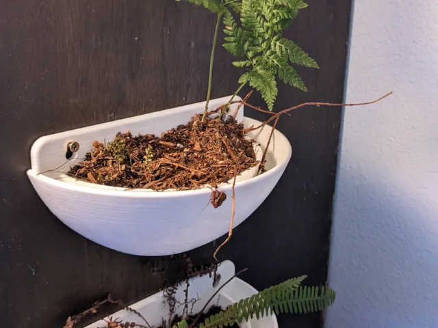 Wall mounted pot with drainage