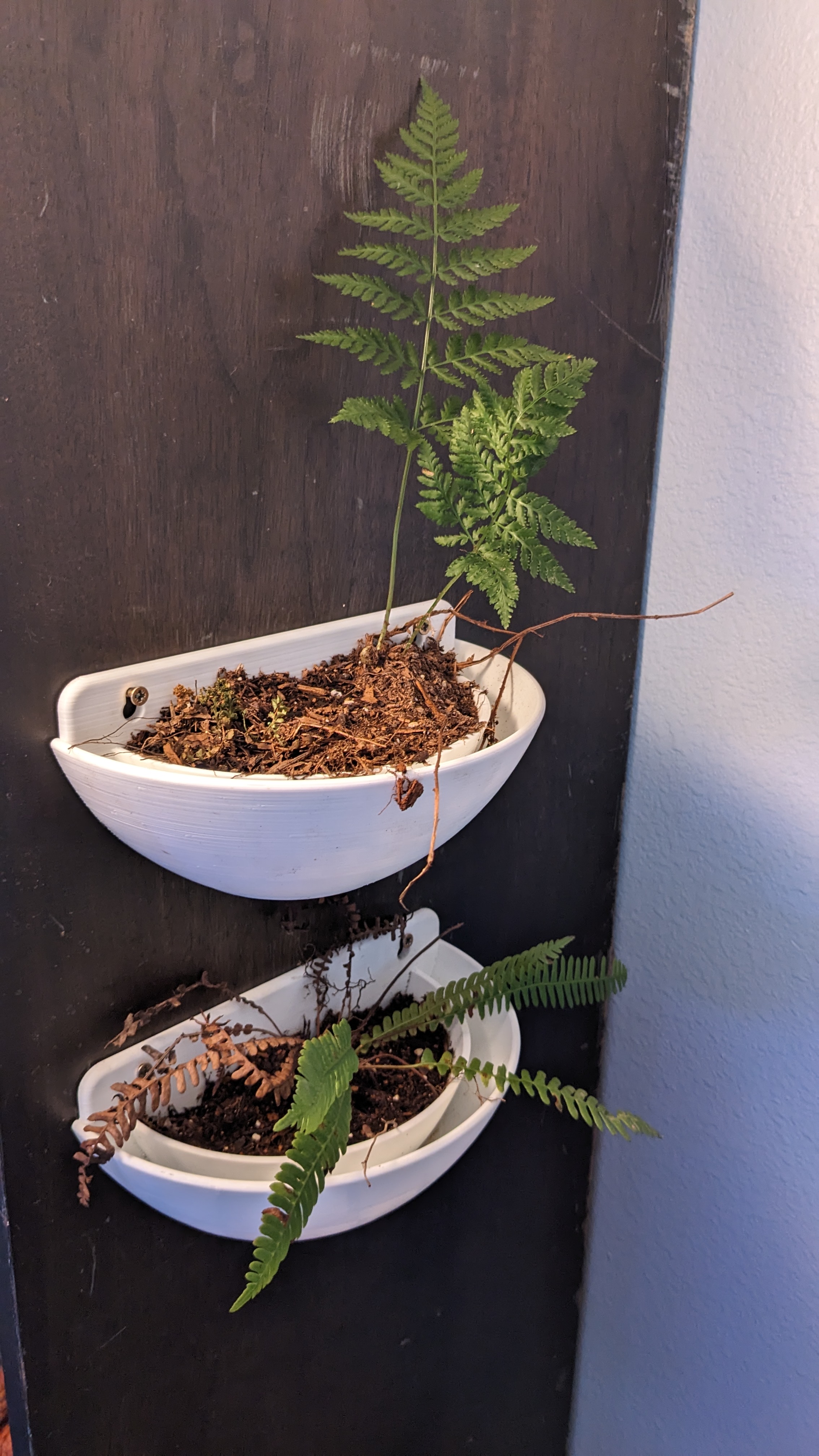 Wall mounted pot with drainage