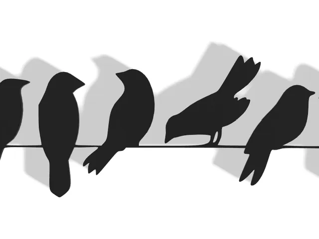 Bird Decor